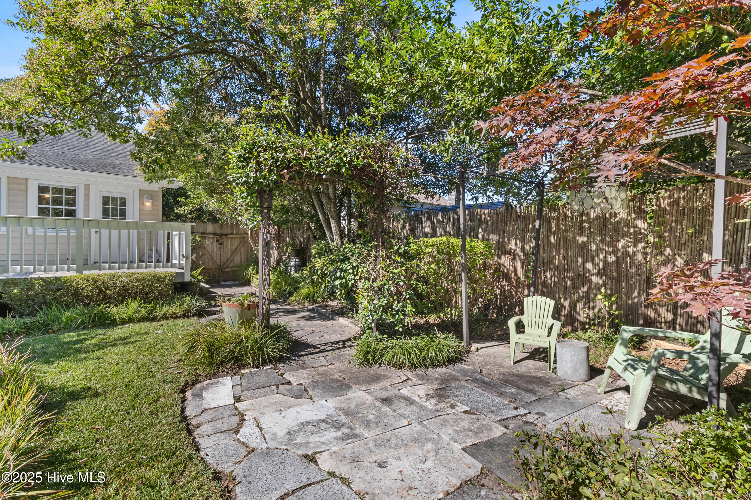 100538519 | Photo 33