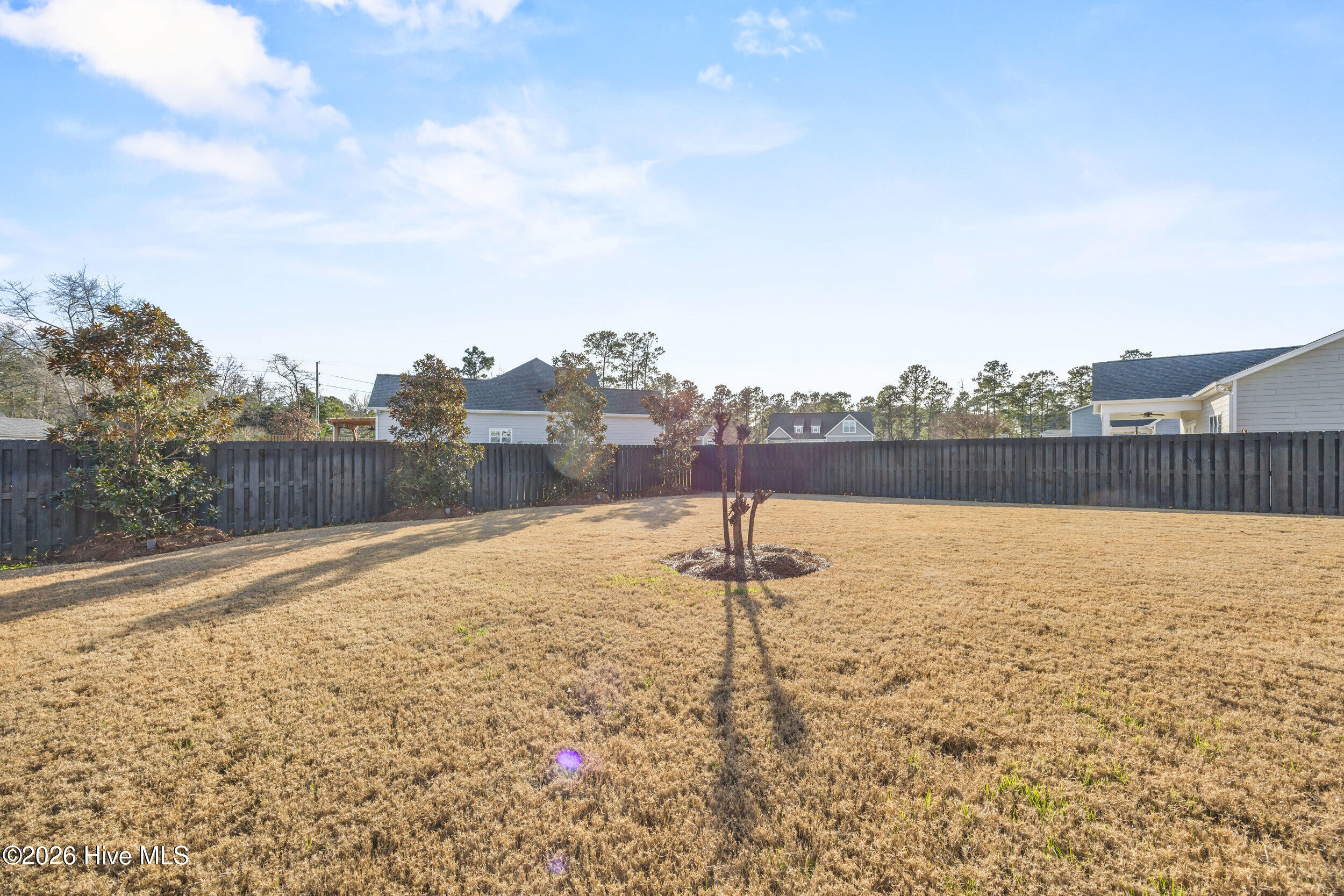 100550953 | Photo 43