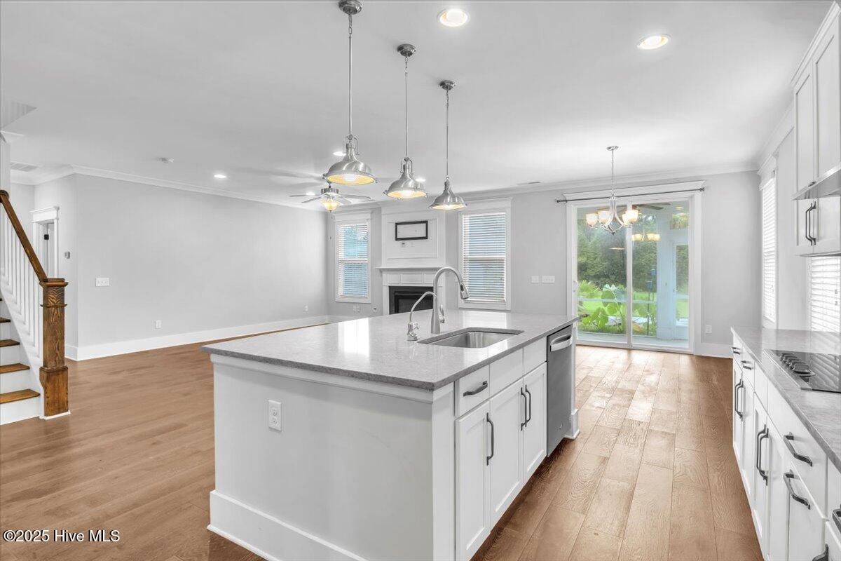 100523445 | Photo 13