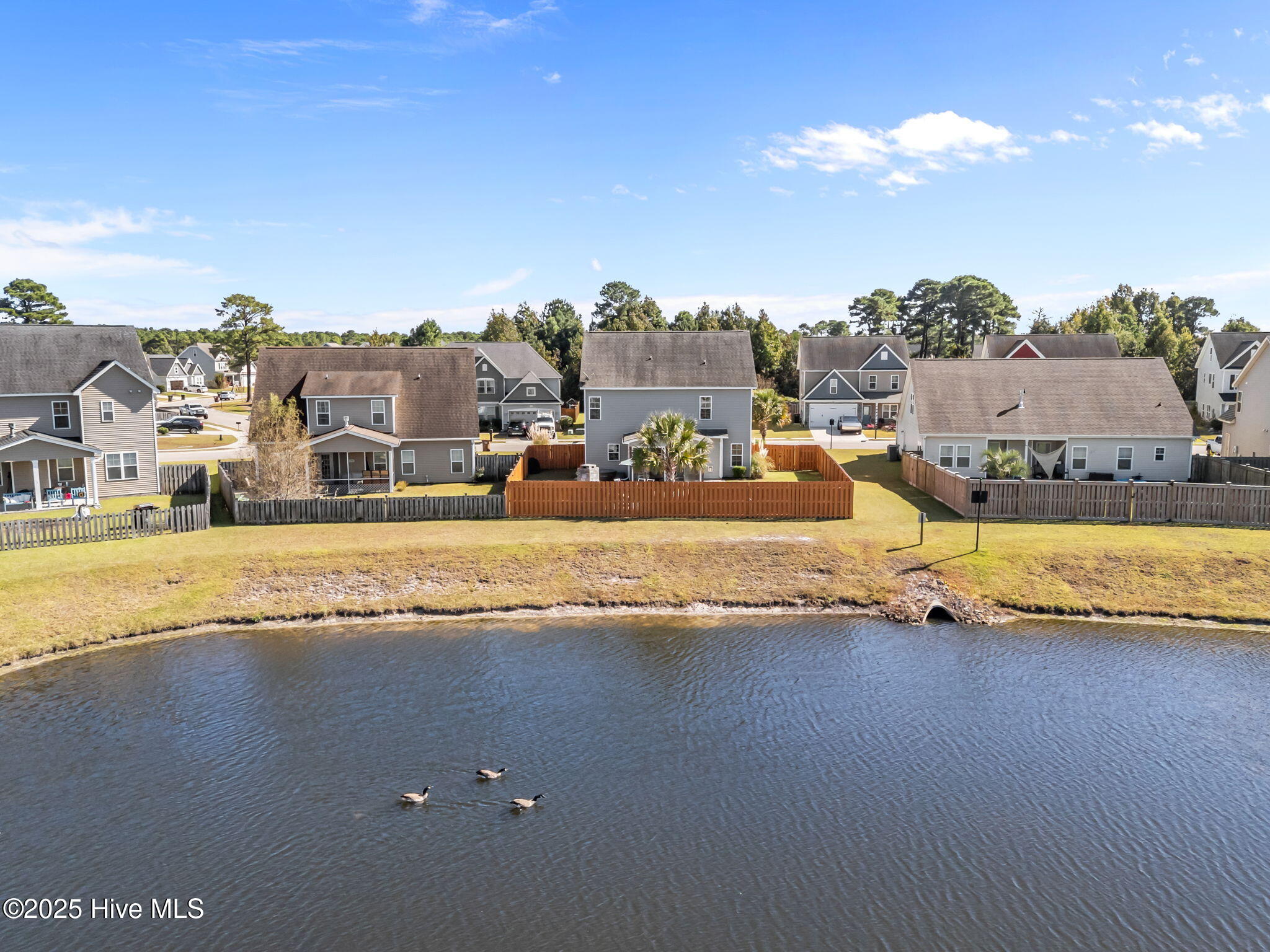 100537762 | Photo 47