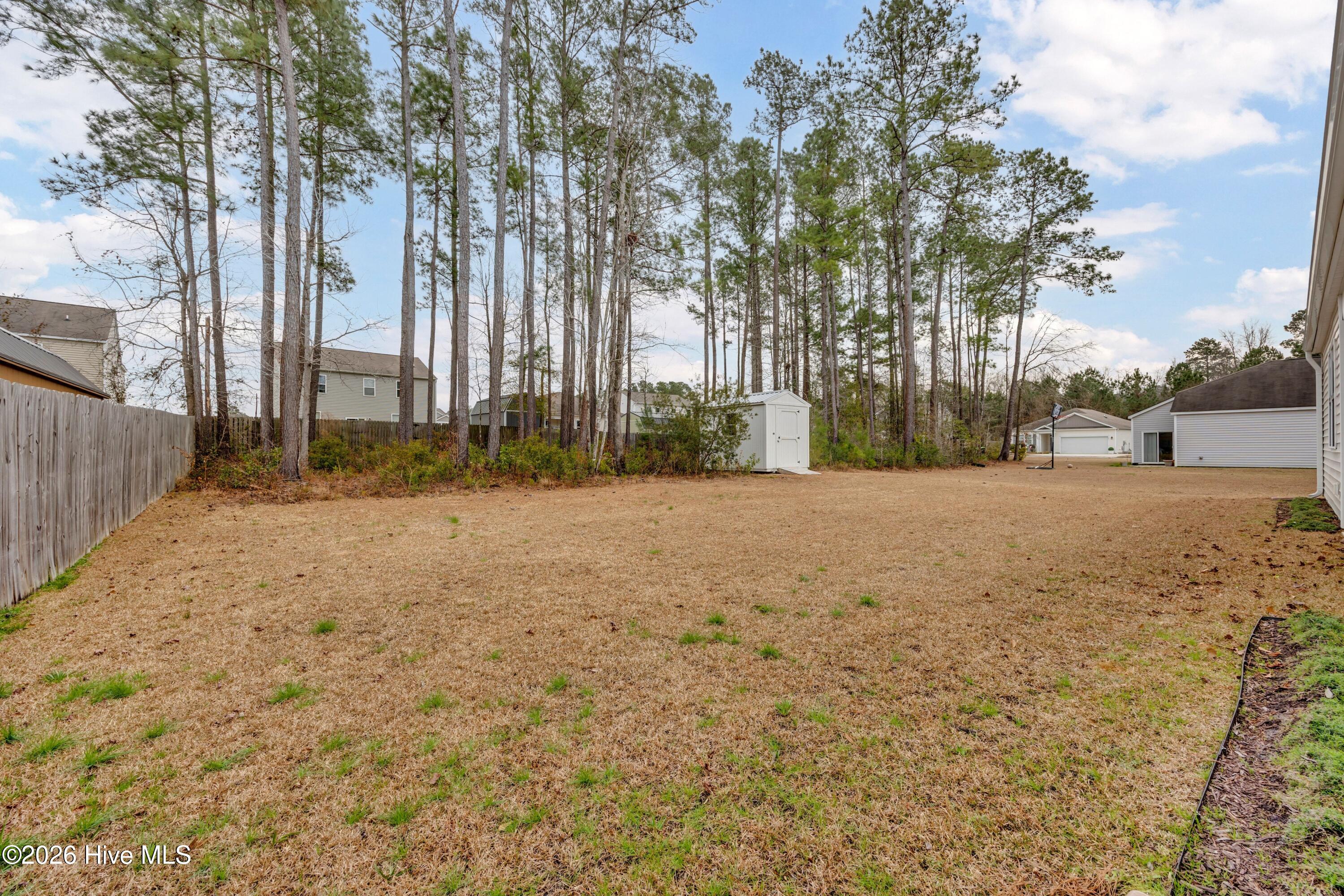 100557551 | Photo 26