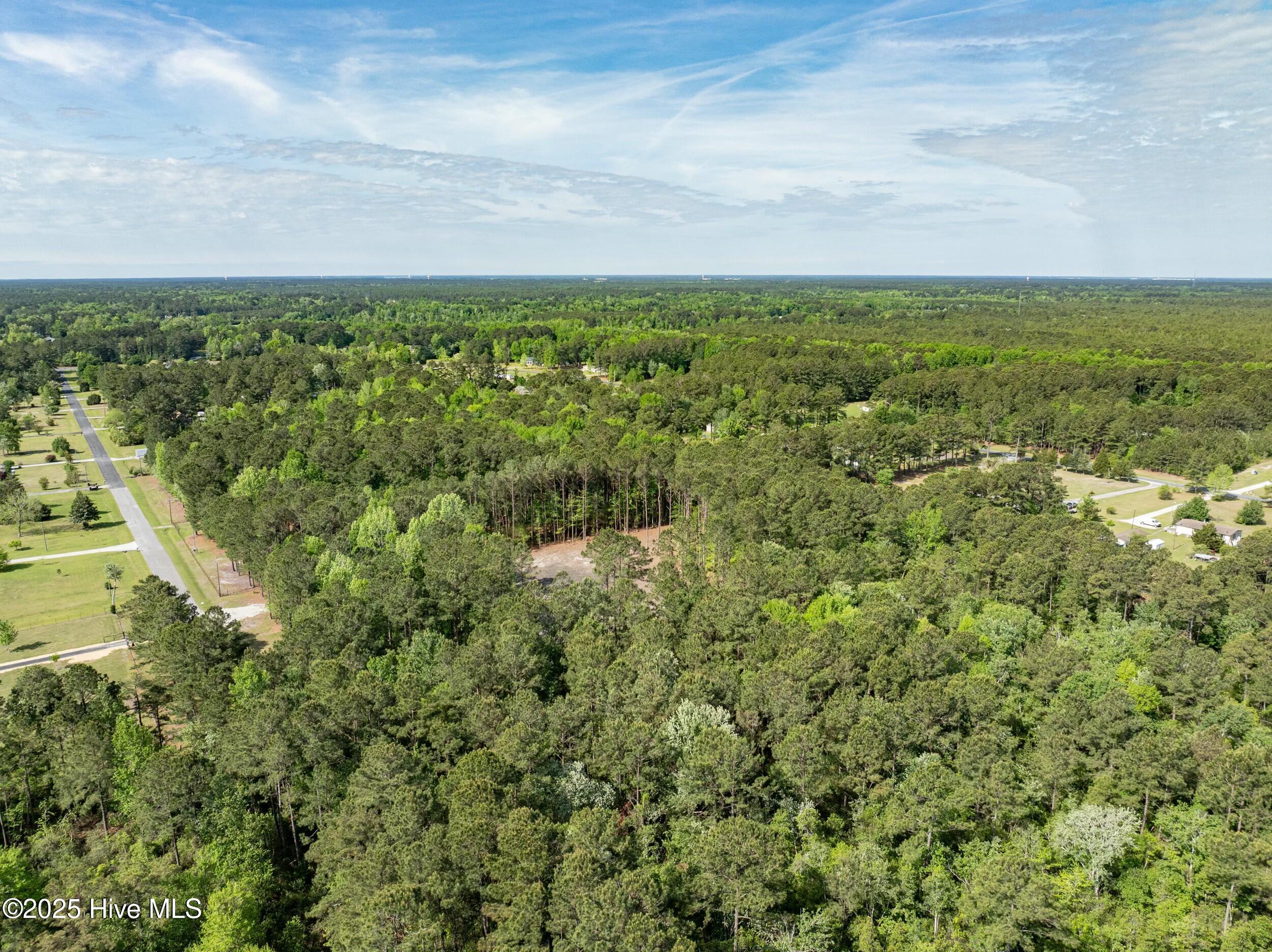 100503919 | Photo 11