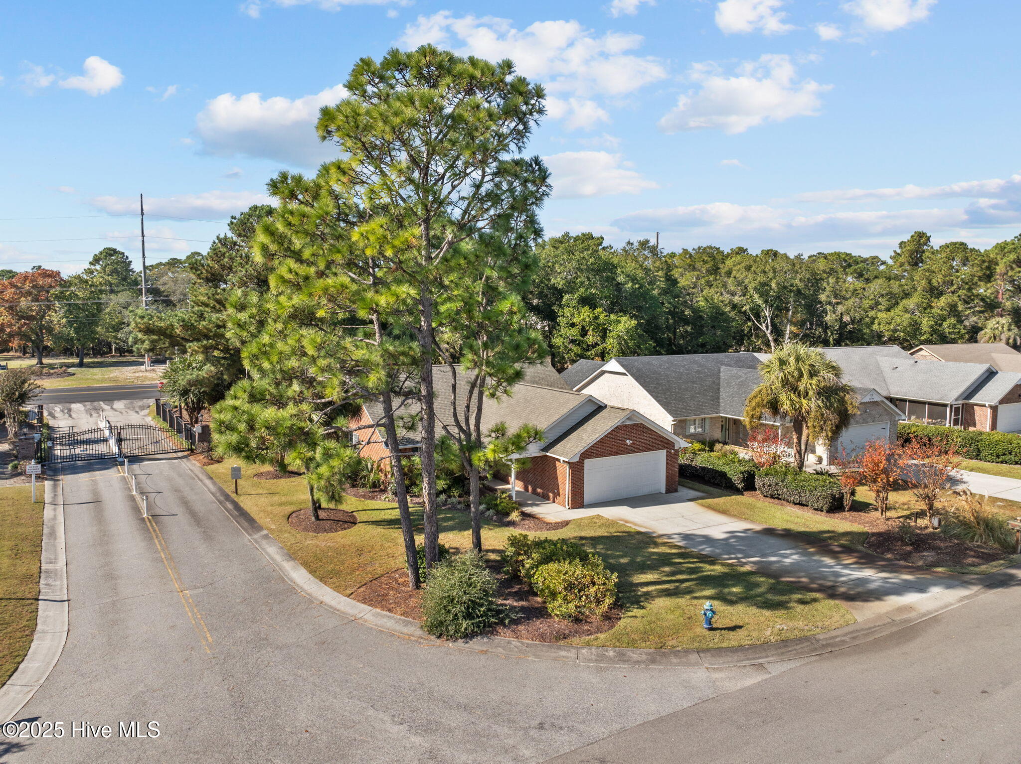 100540163 | Photo 44