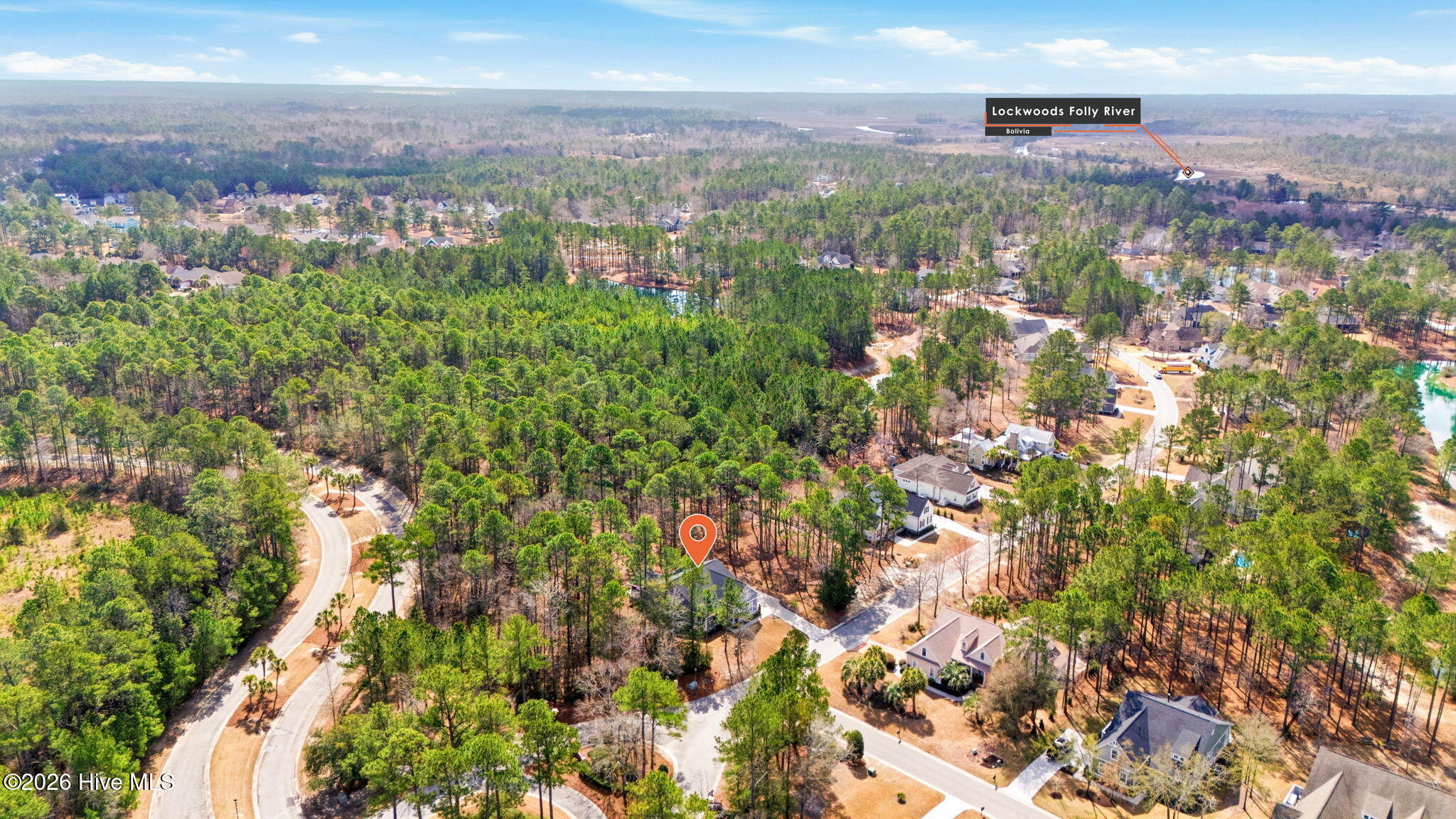 100558607 | Photo 54