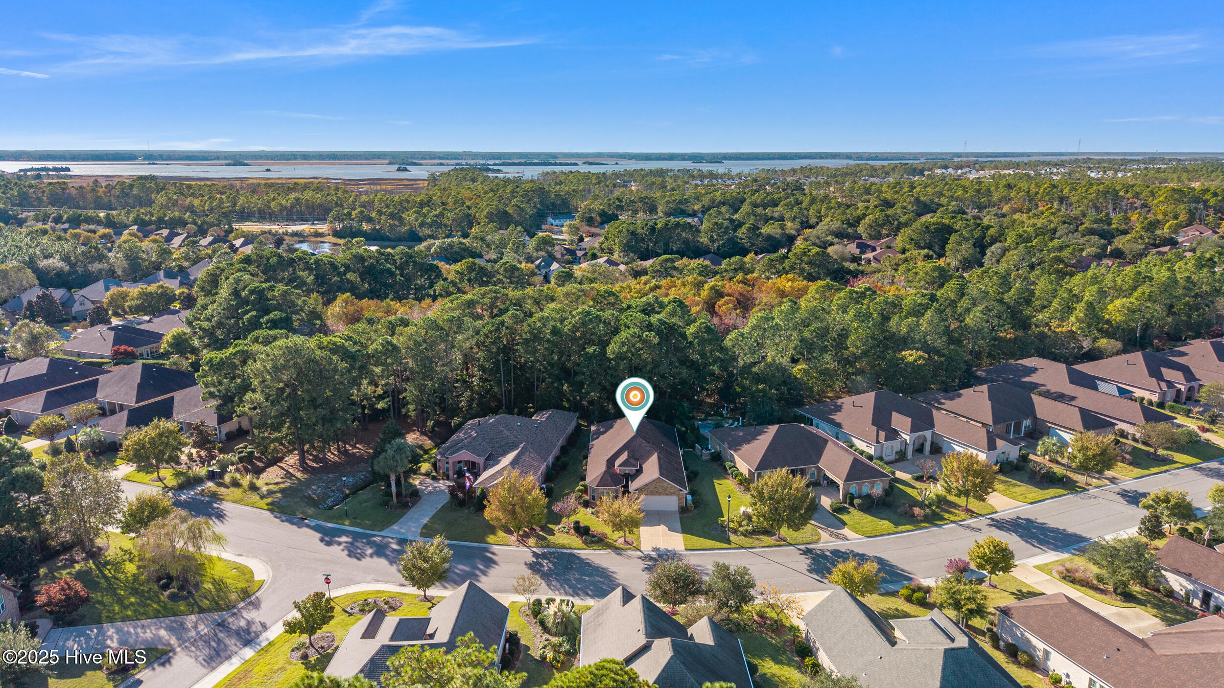 100539412 | Photo 41