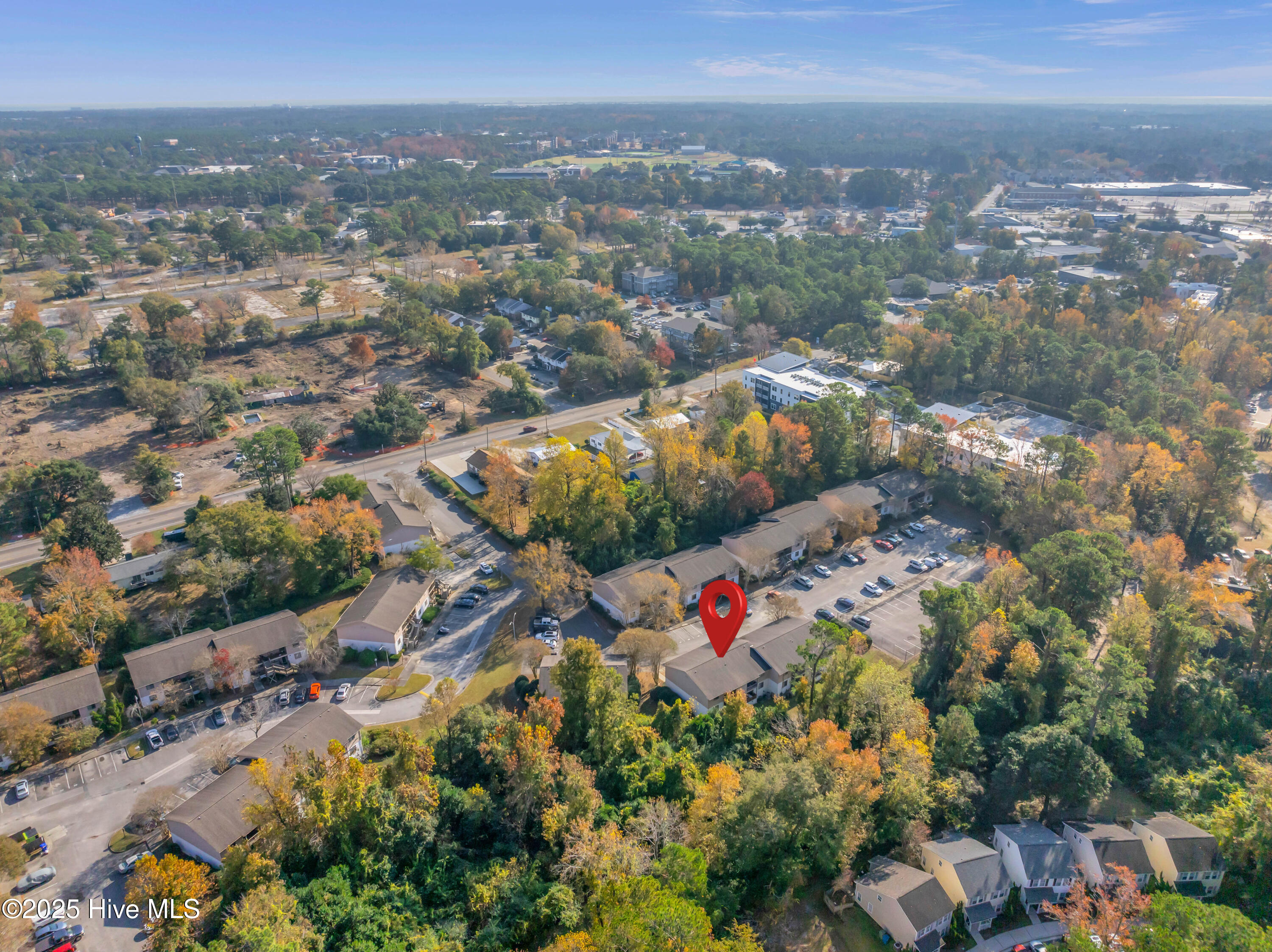 100542371 | Photo 24