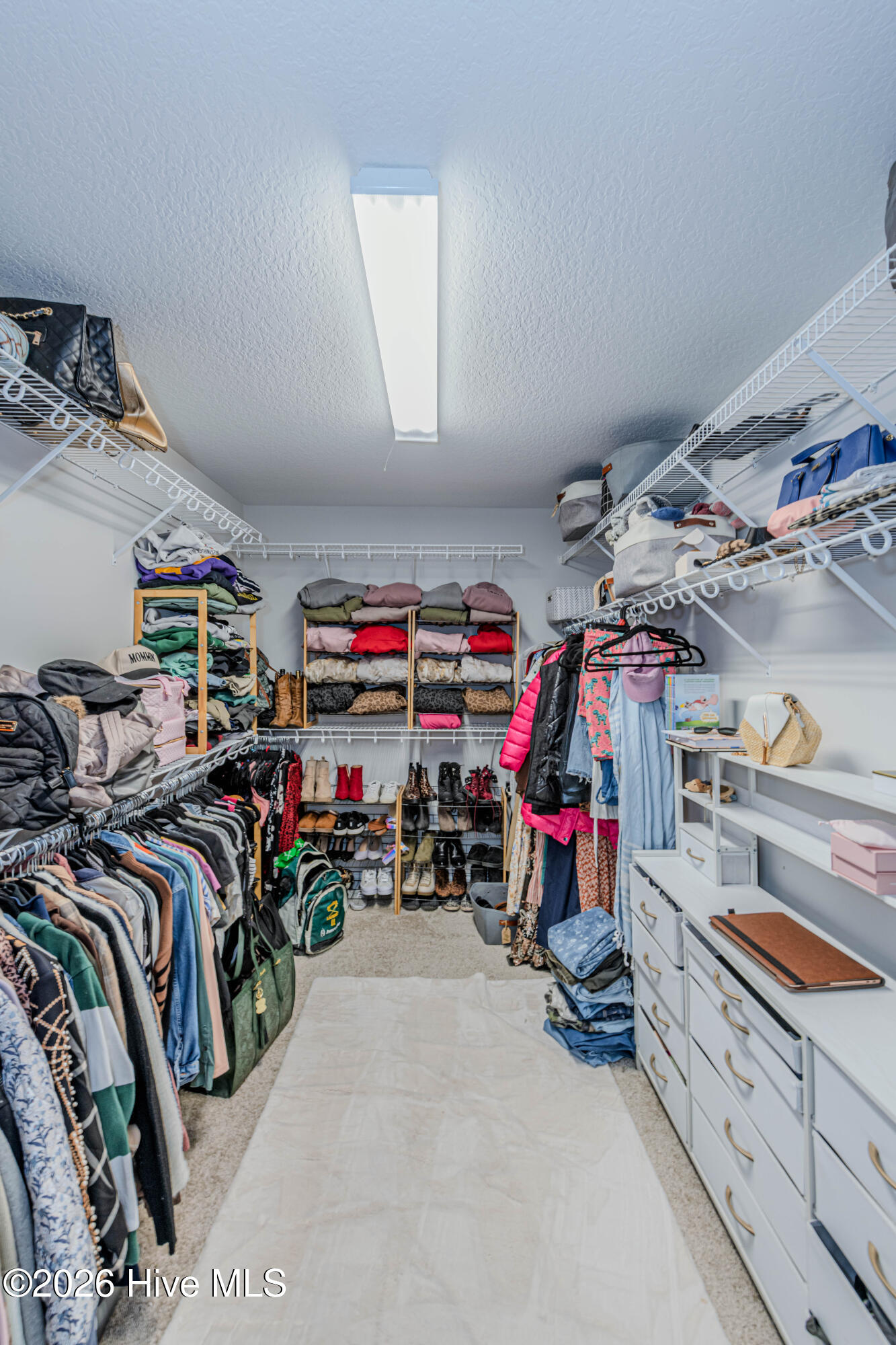 100570010 | Photo 45