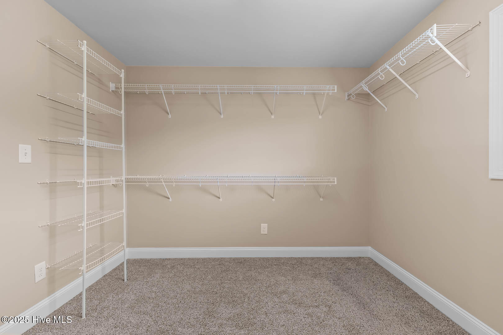 100532827 | Photo 51