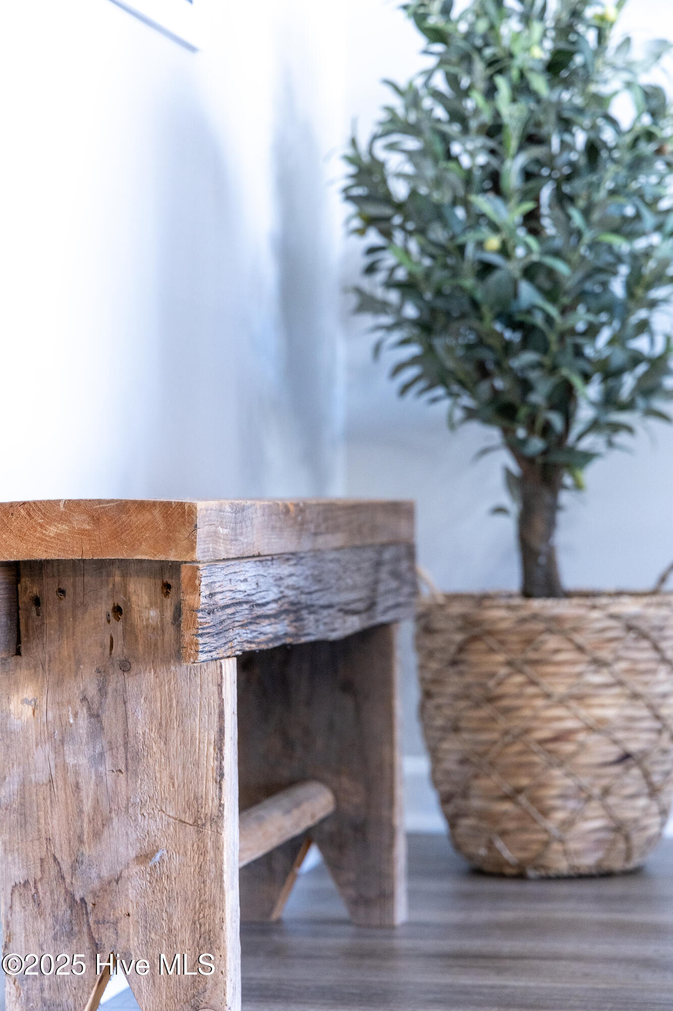 100530467 | Photo 52