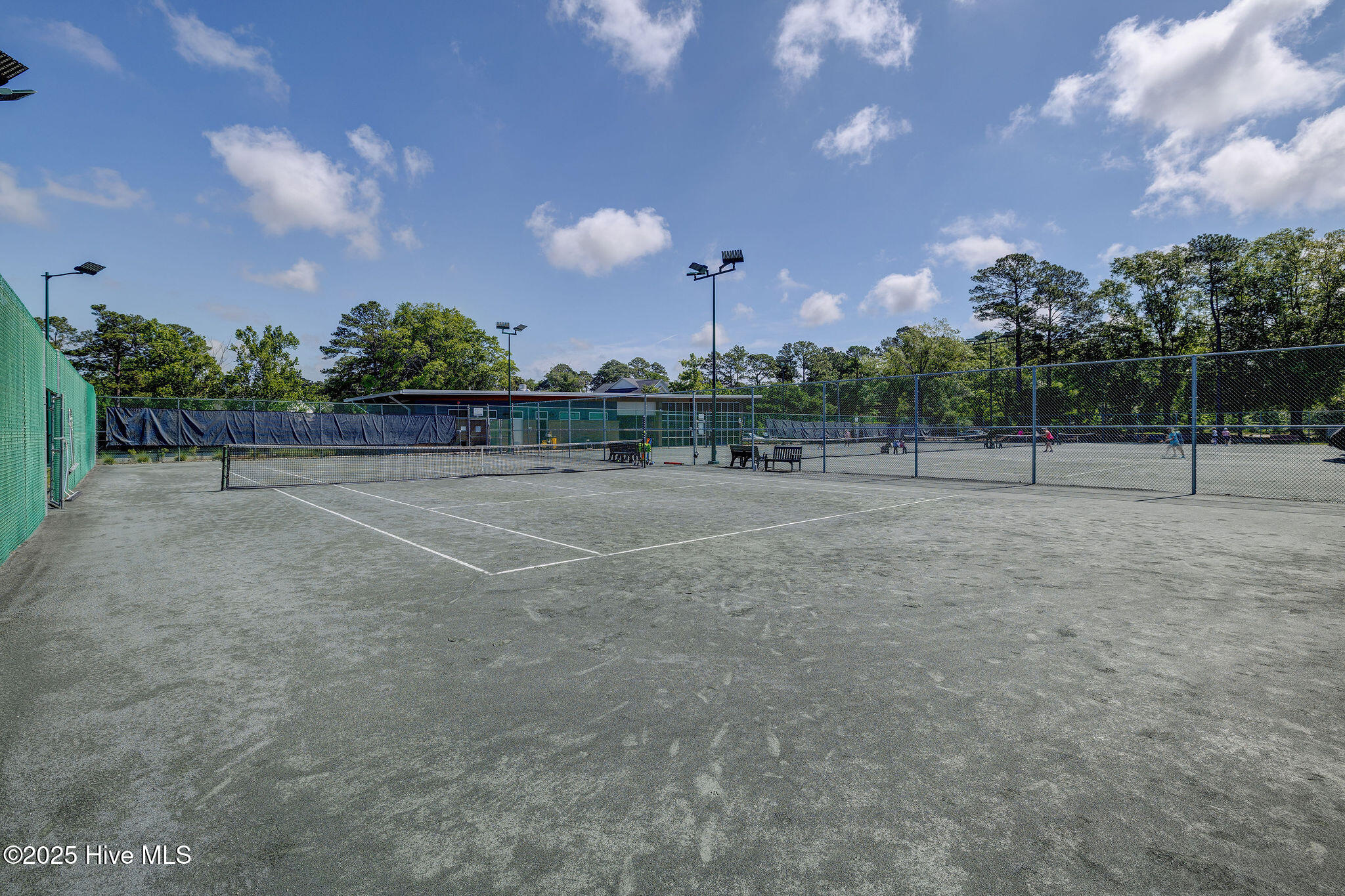 100538895 | Photo 56