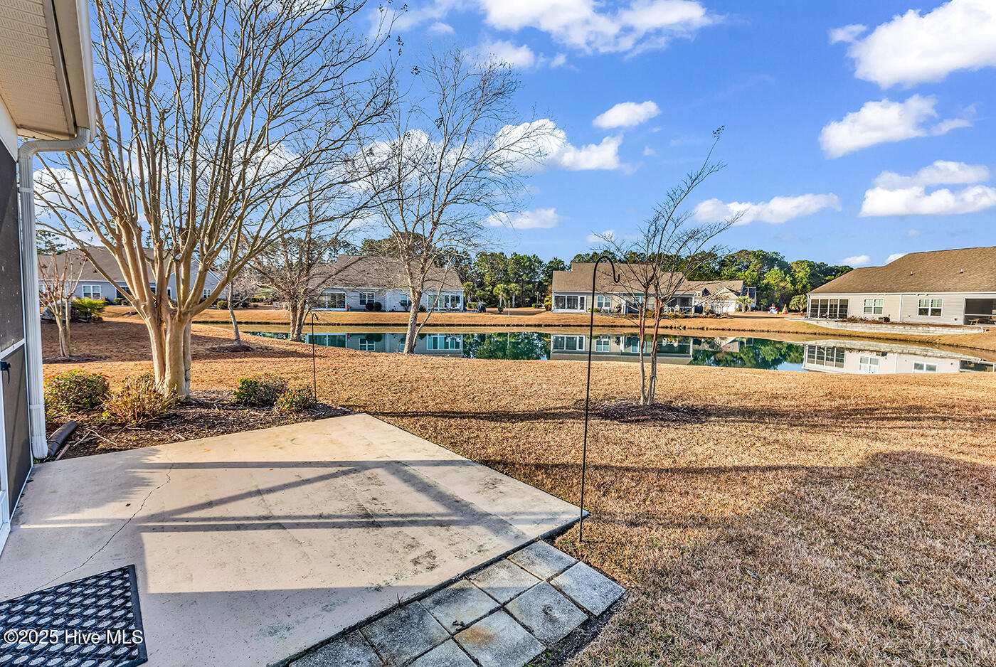 100545538 | Photo 31