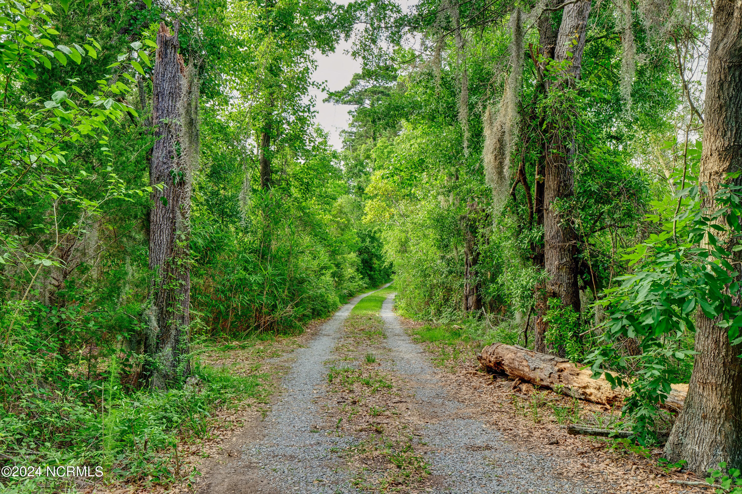 100552771 | Photo 56