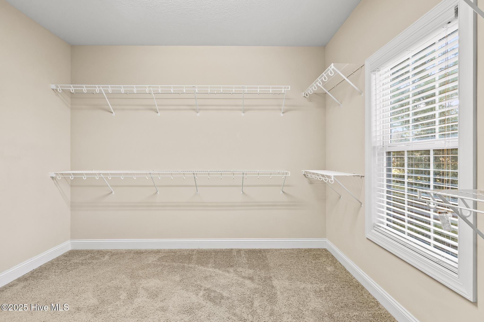 100536910 | Photo 24