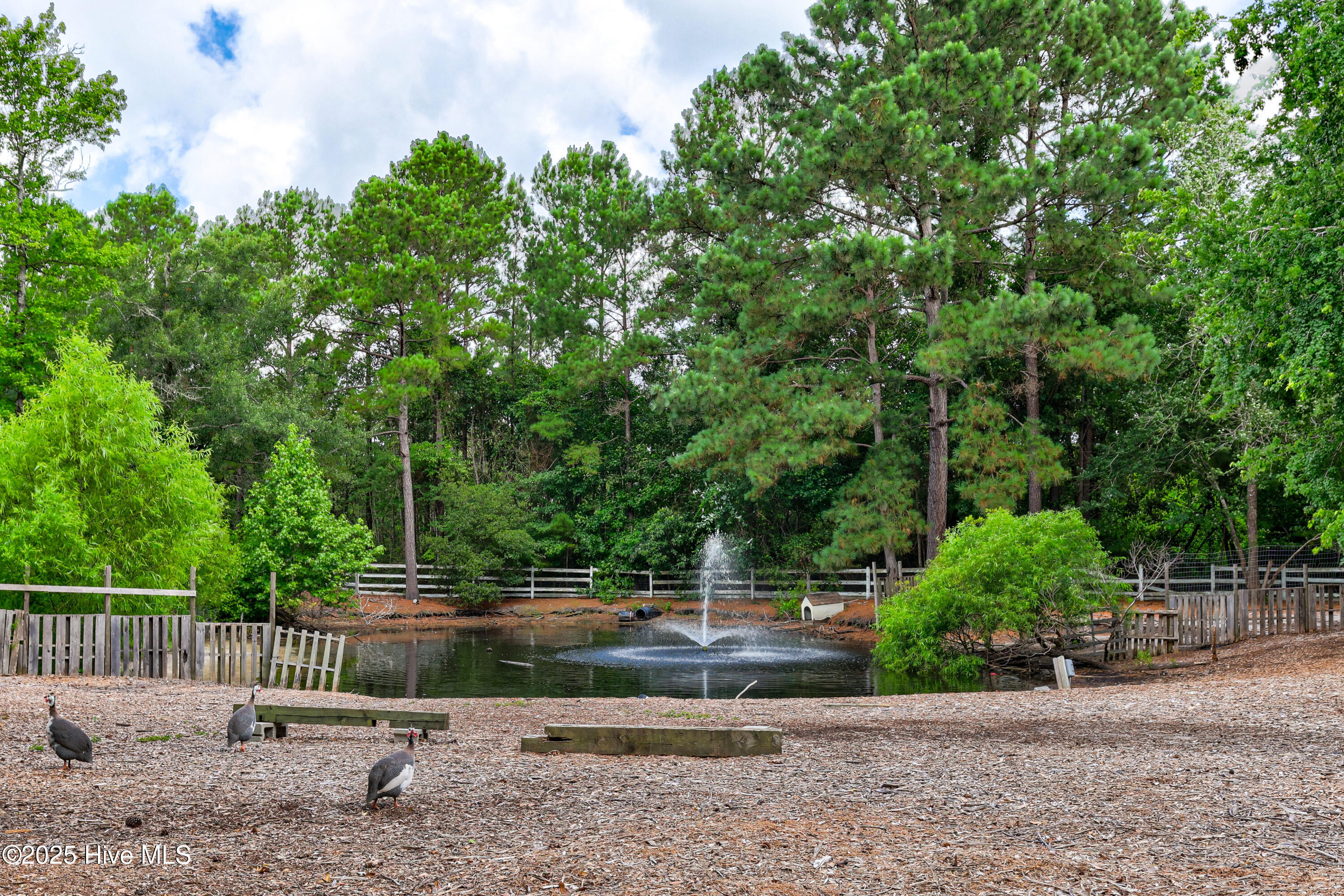 100562127 | Photo 72