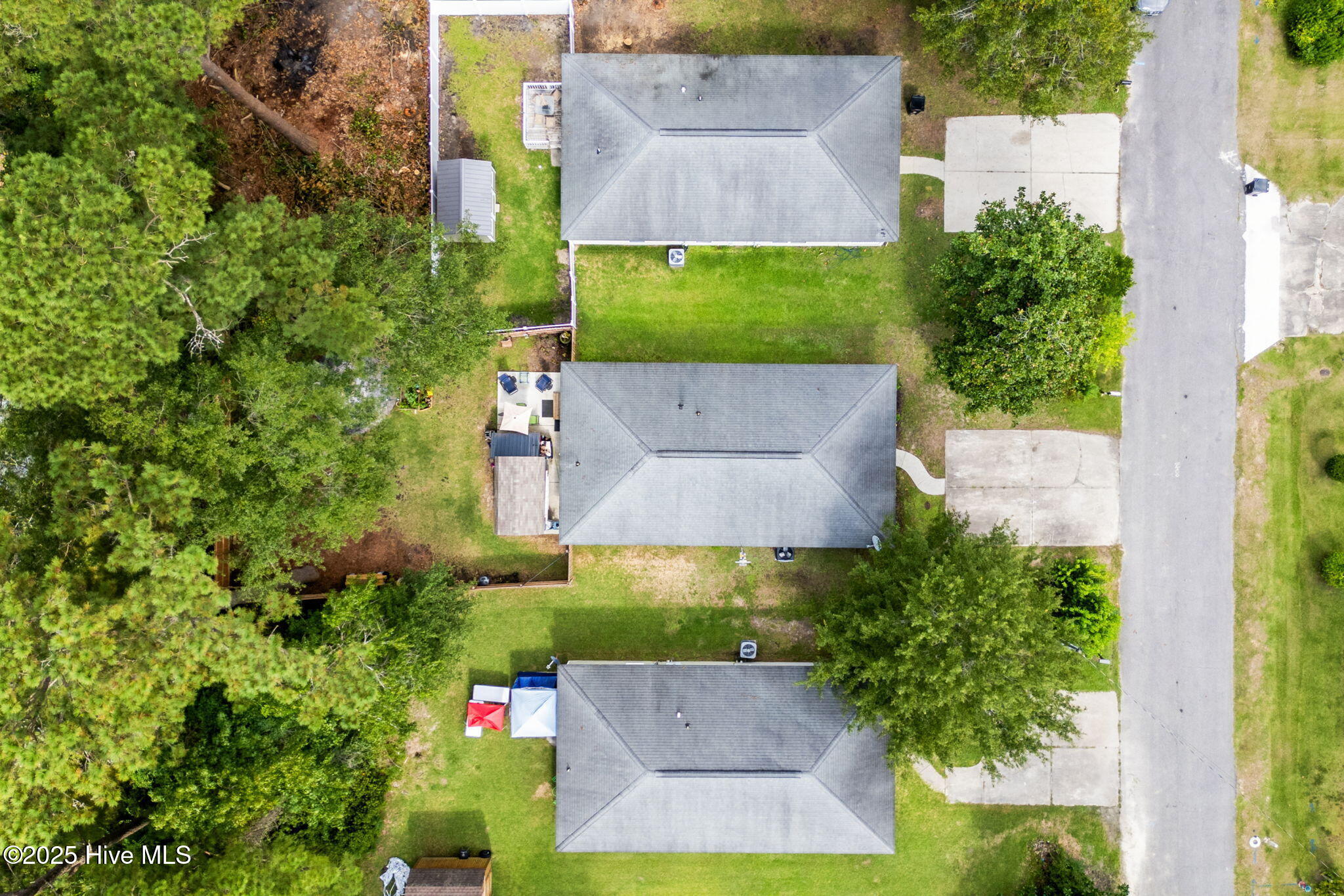 100526973 | Photo 13