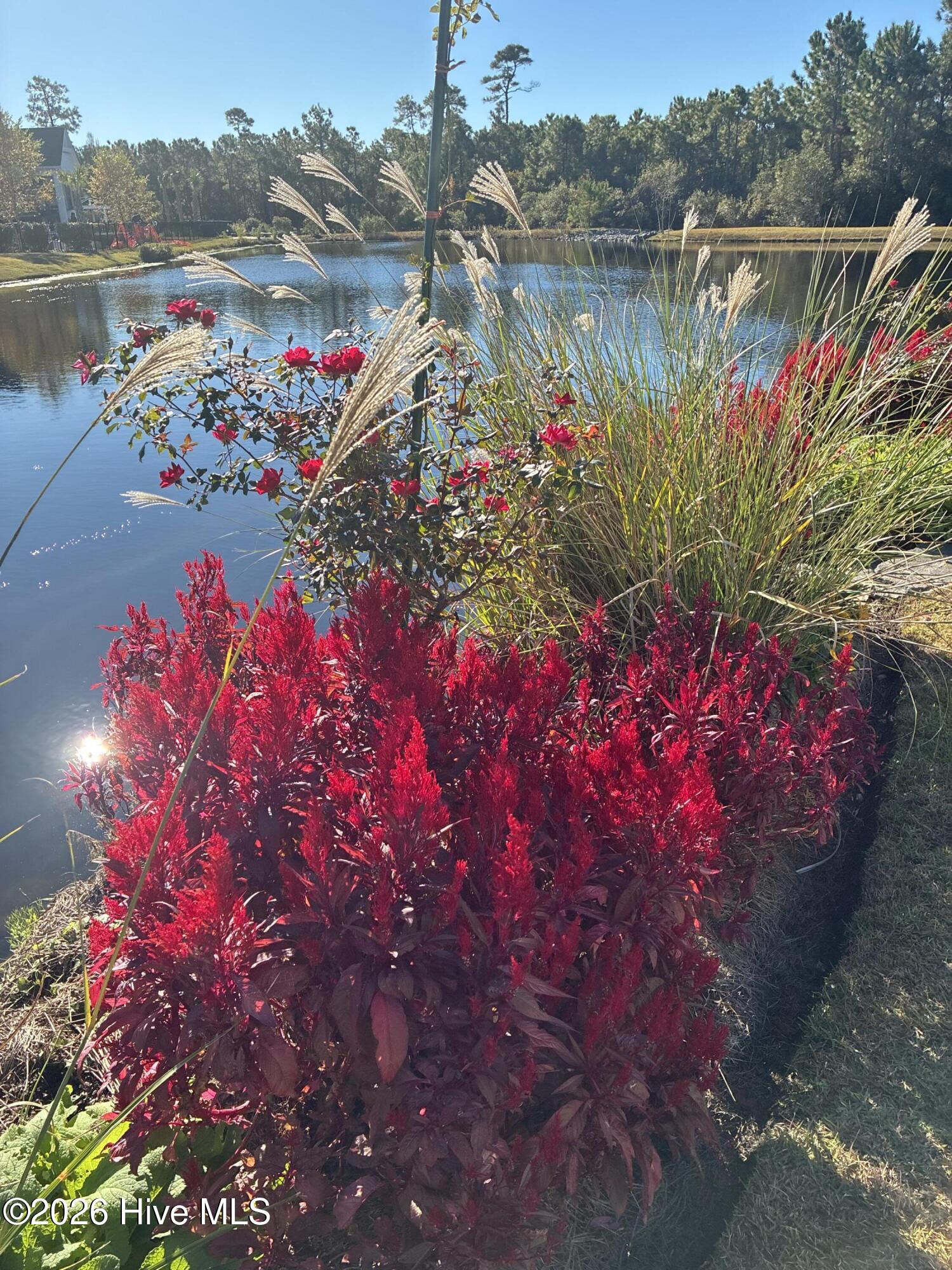 100560288 | Photo 69