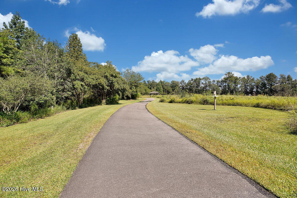 100565235 | Photo 159