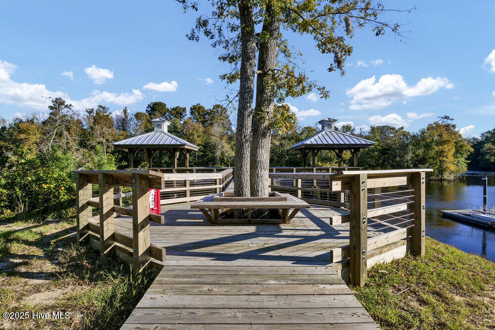 100569066 | Photo 51