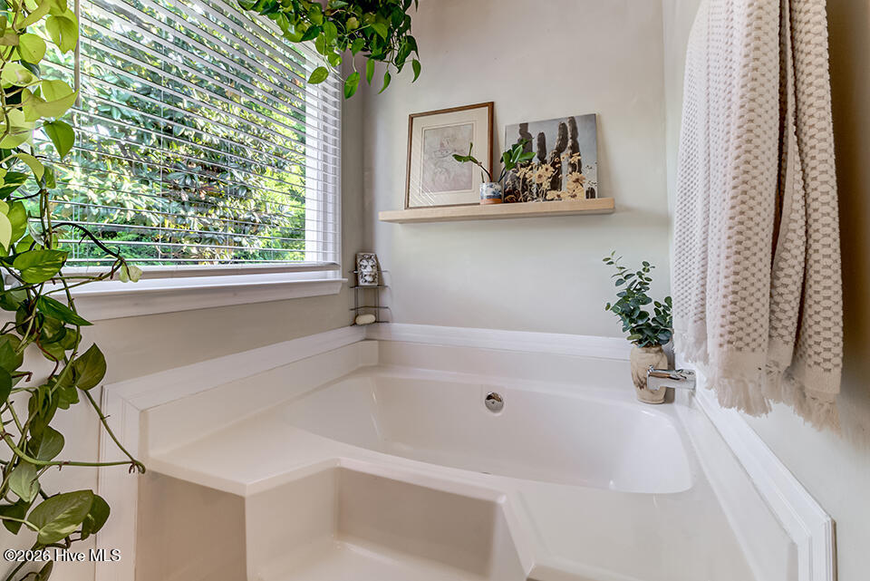 100567381 | Photo 23