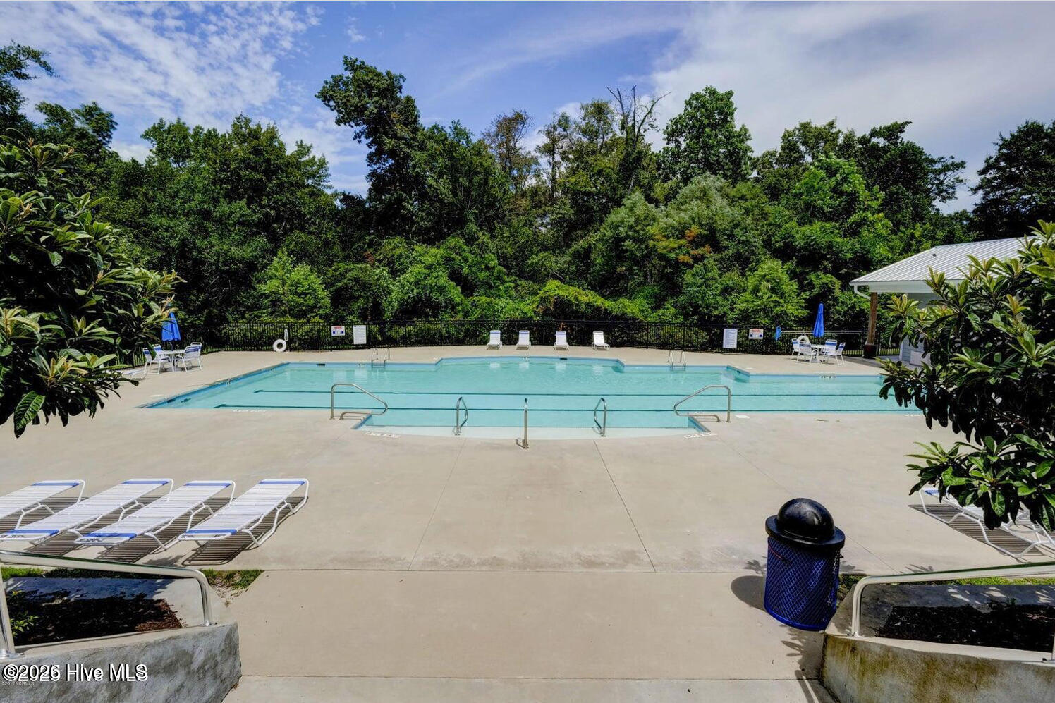 100551438 | Photo 58