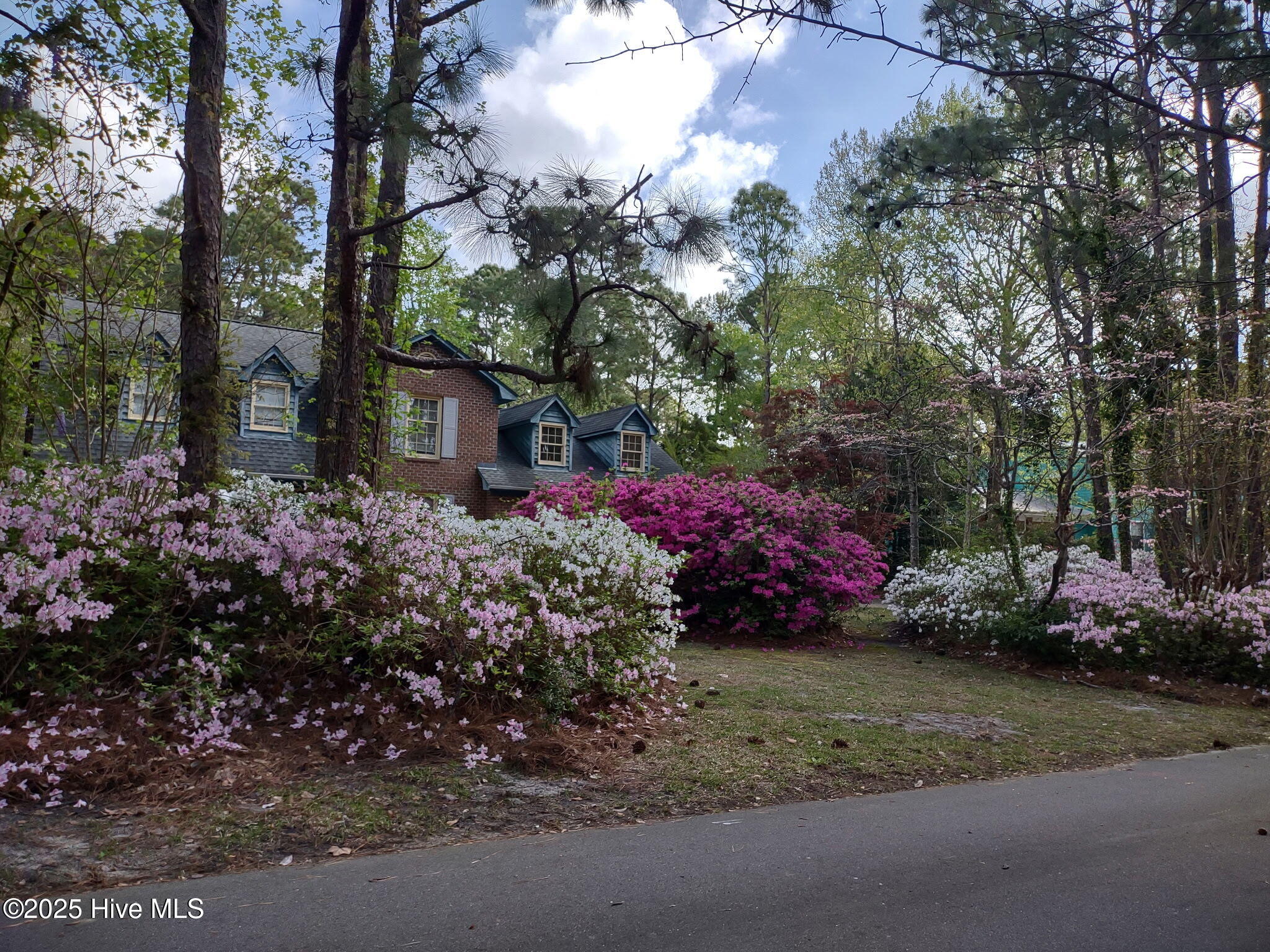 100540294 | Photo 55