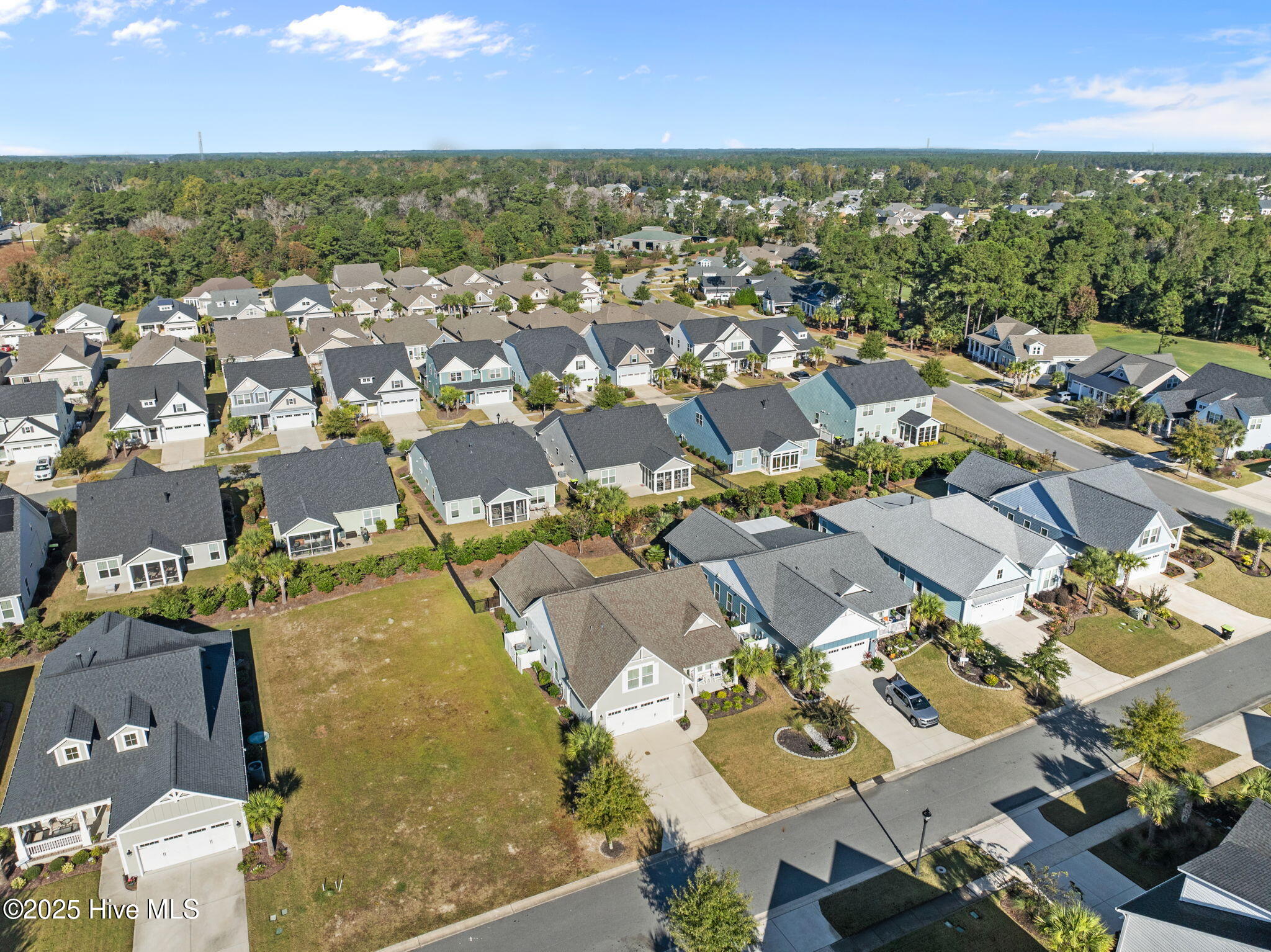 100537659 | Photo 57