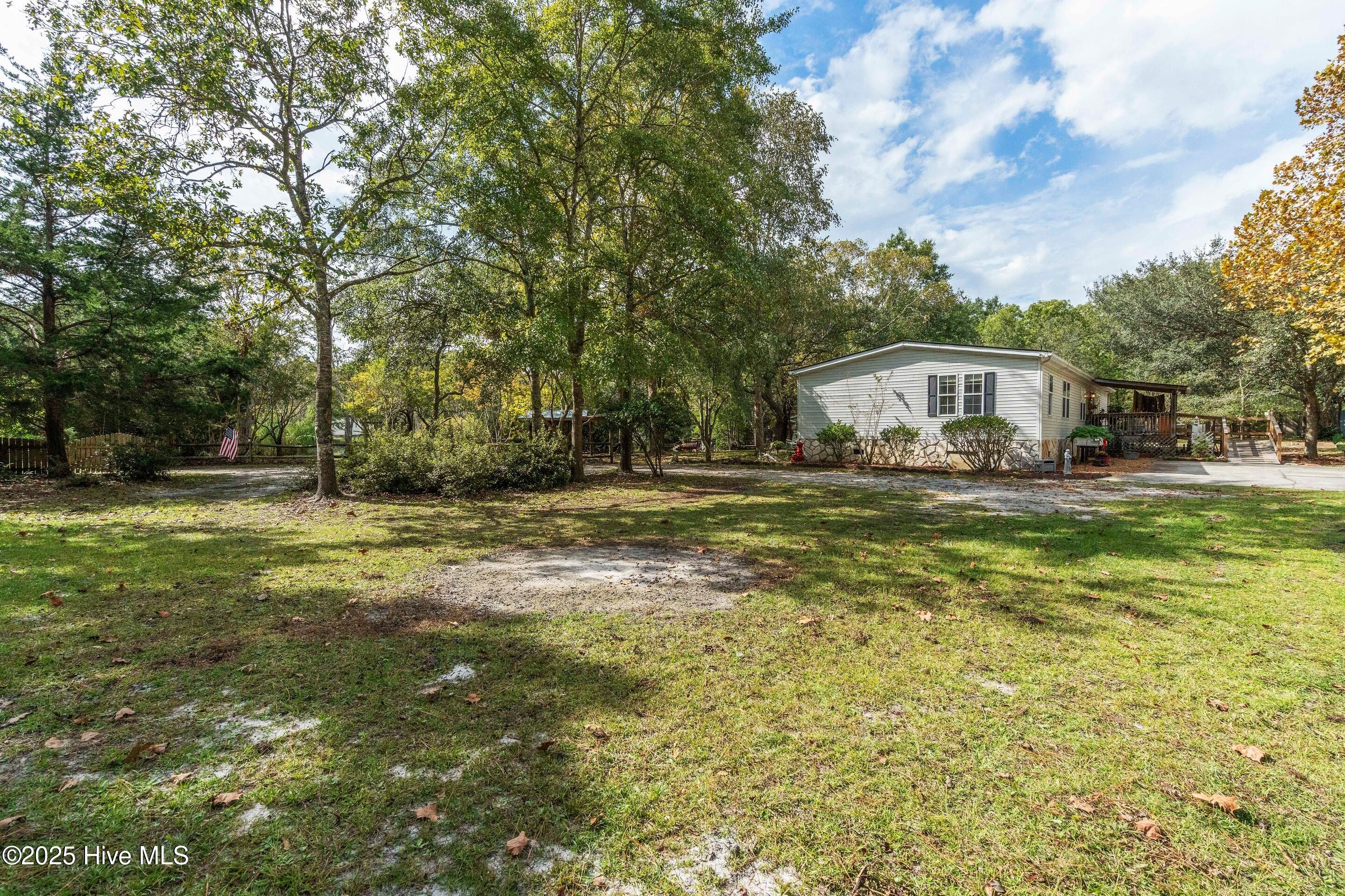 100535667 | Photo 64