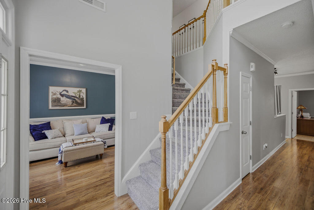 100565606 | Photo 34