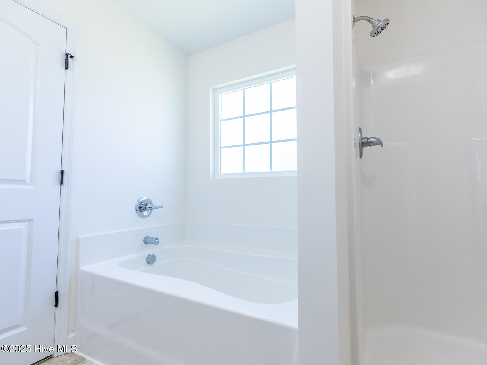 100539425 | Photo 19