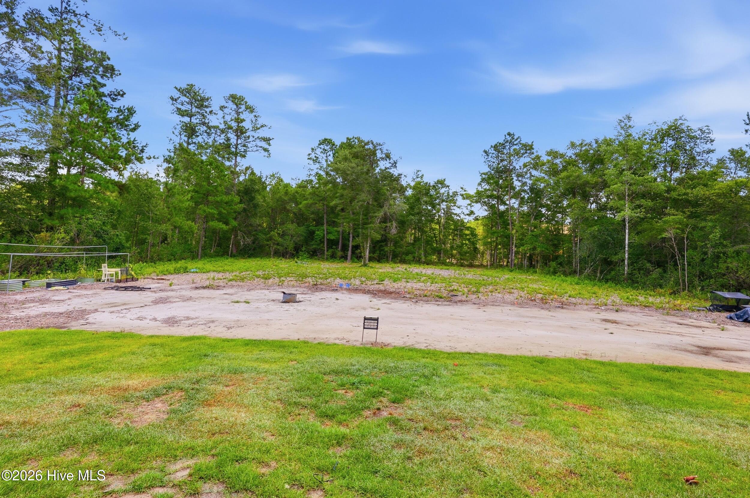 Backyard, property sit on .95 acres