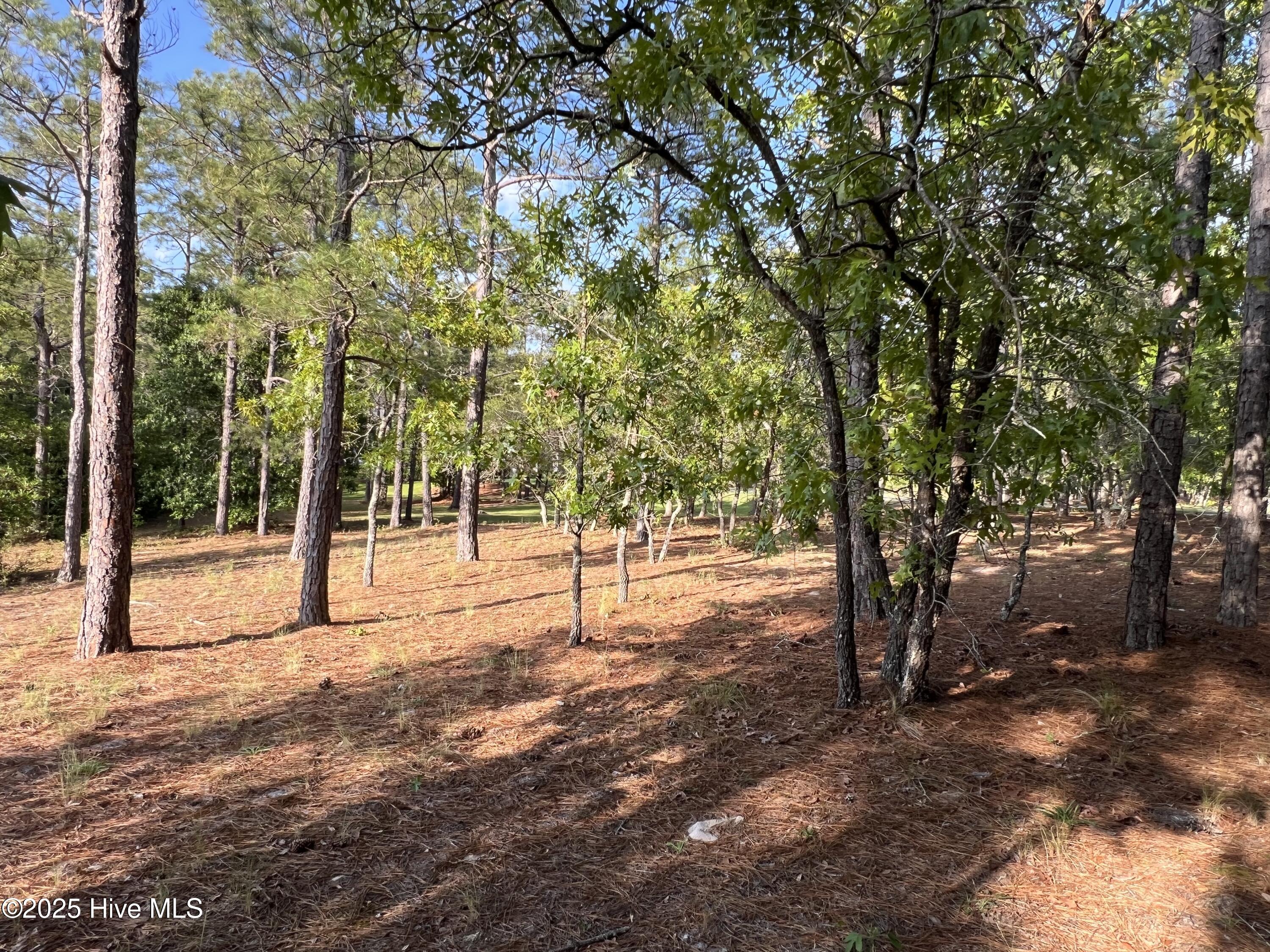 100506027 | Photo 33