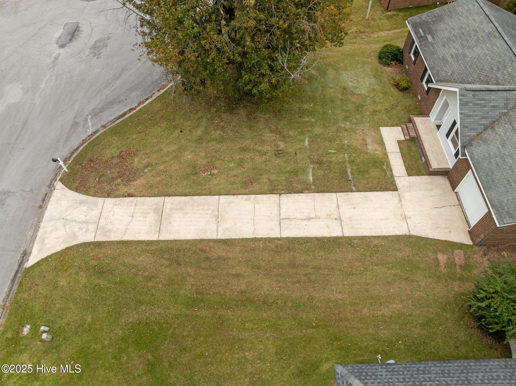 100540509 | Photo 43