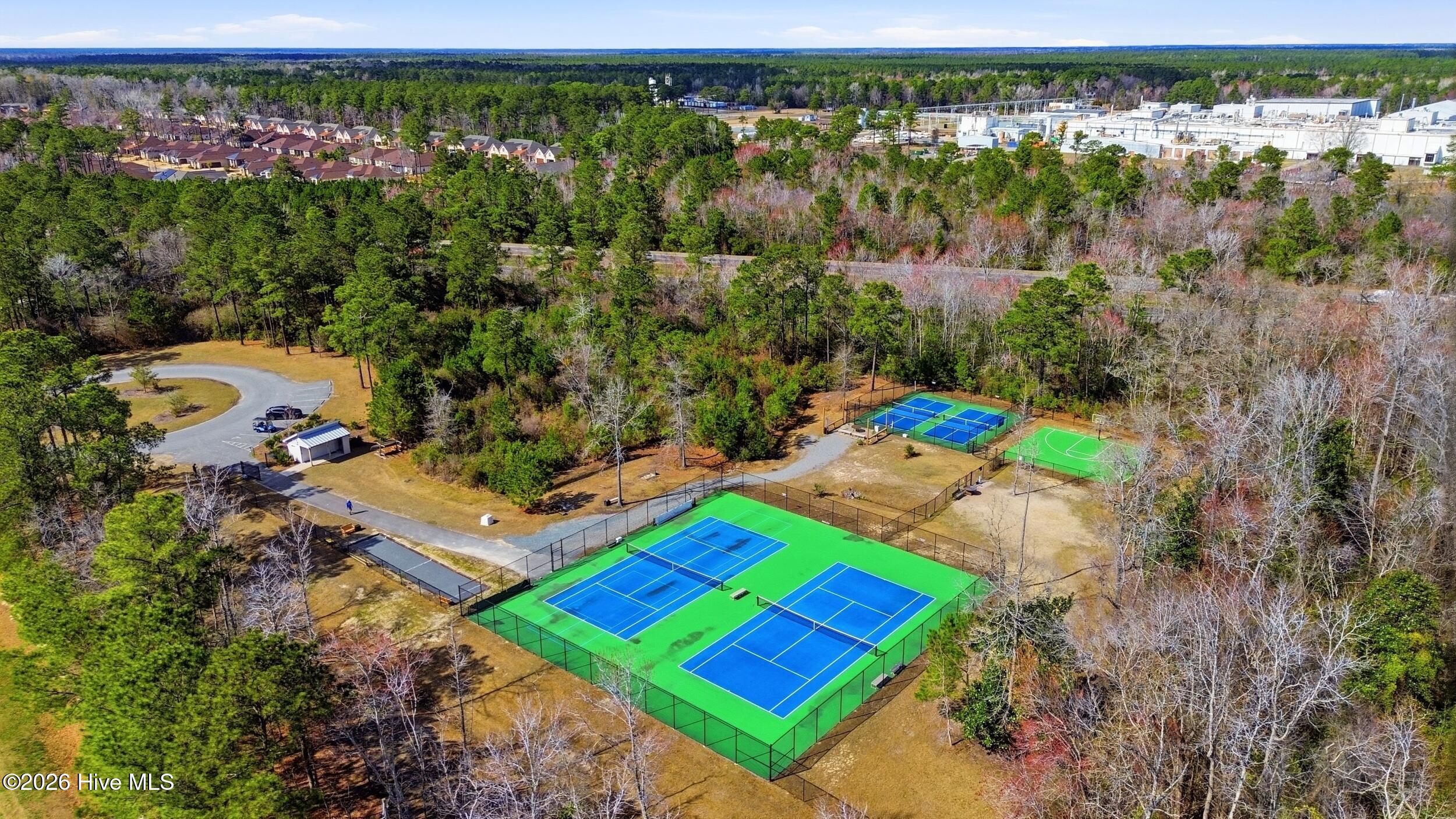 100560979 | Photo 61