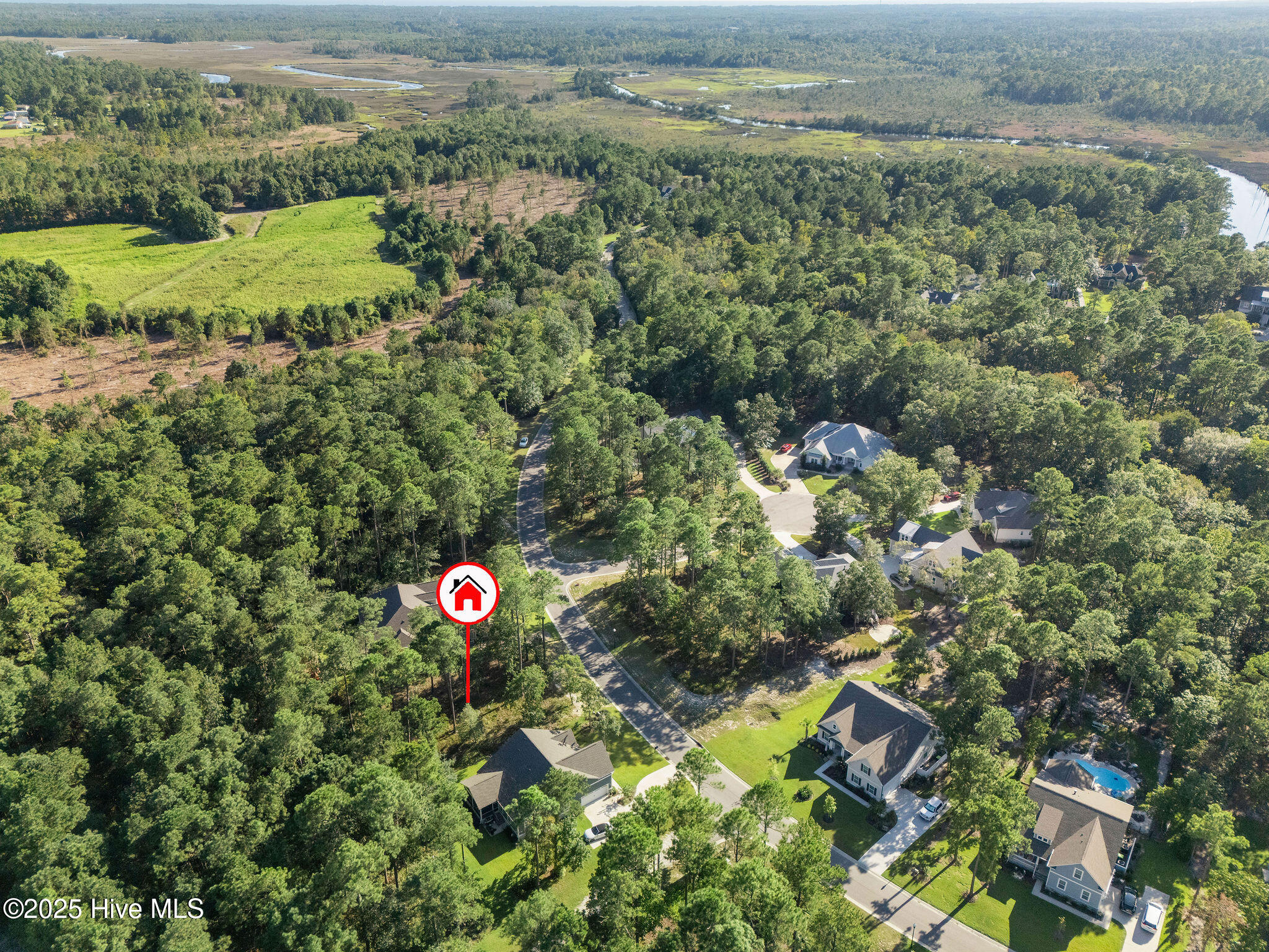 100531958 | Photo 10