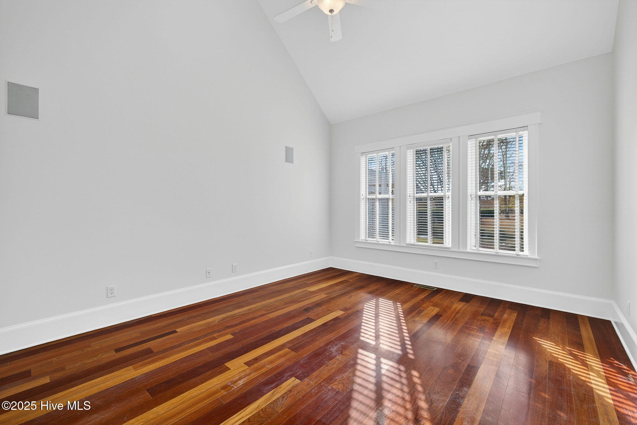 100545451 | Photo 23