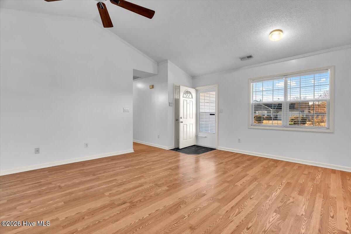 100552346 | Photo 11