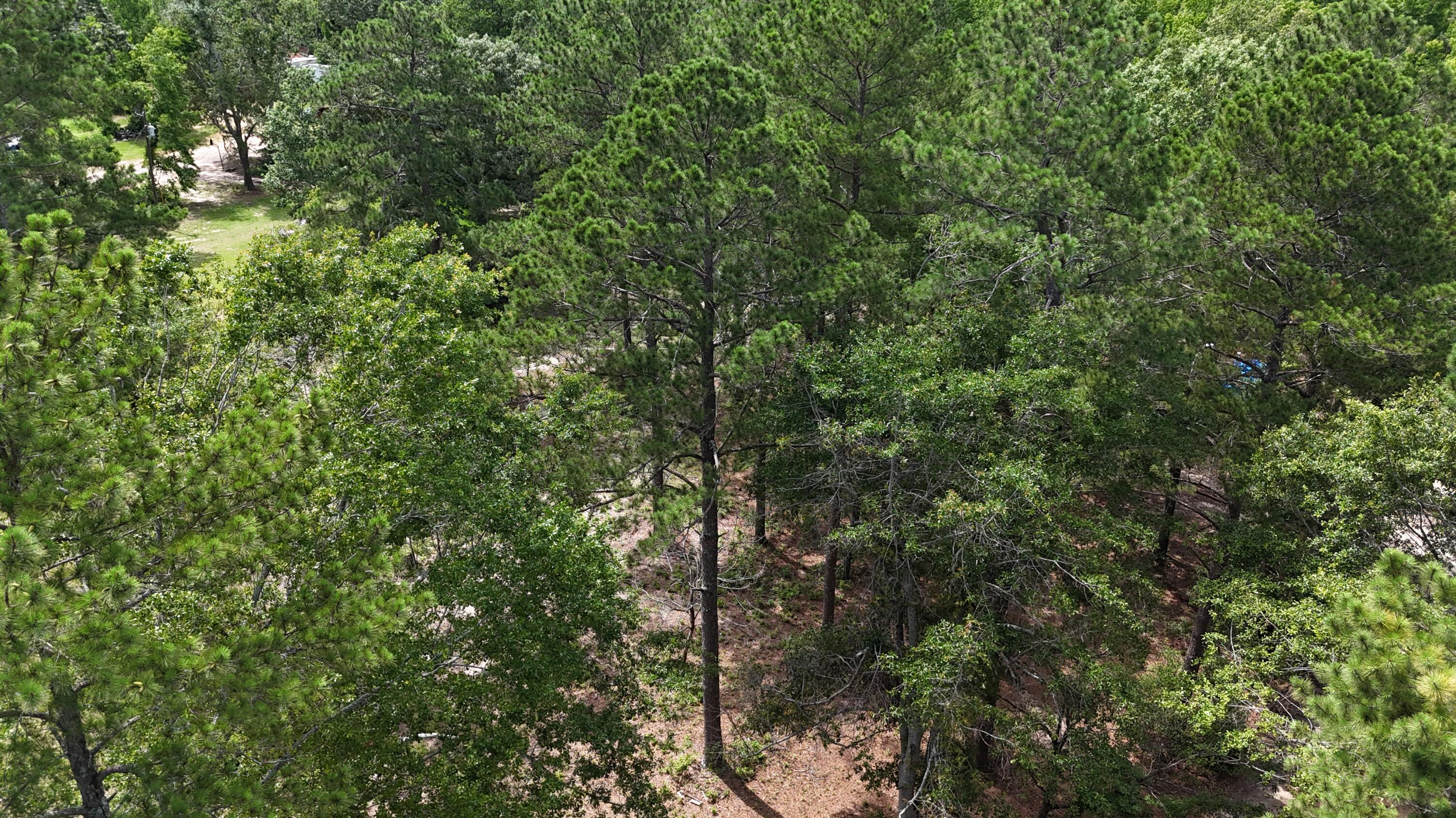 2039 Mcdade Farm Road, Hephzibah, GA, 30815