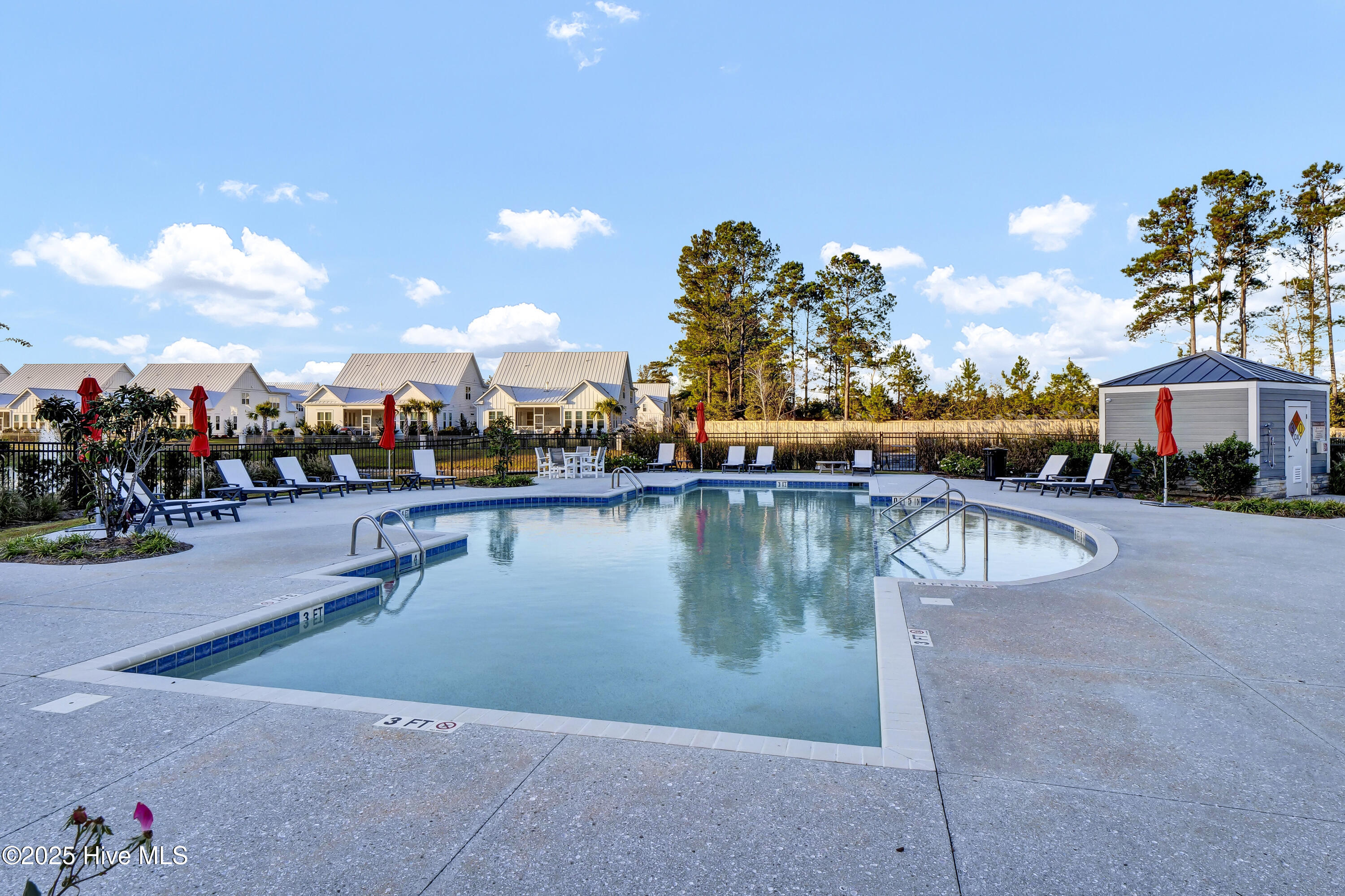 100534317 | Photo 79