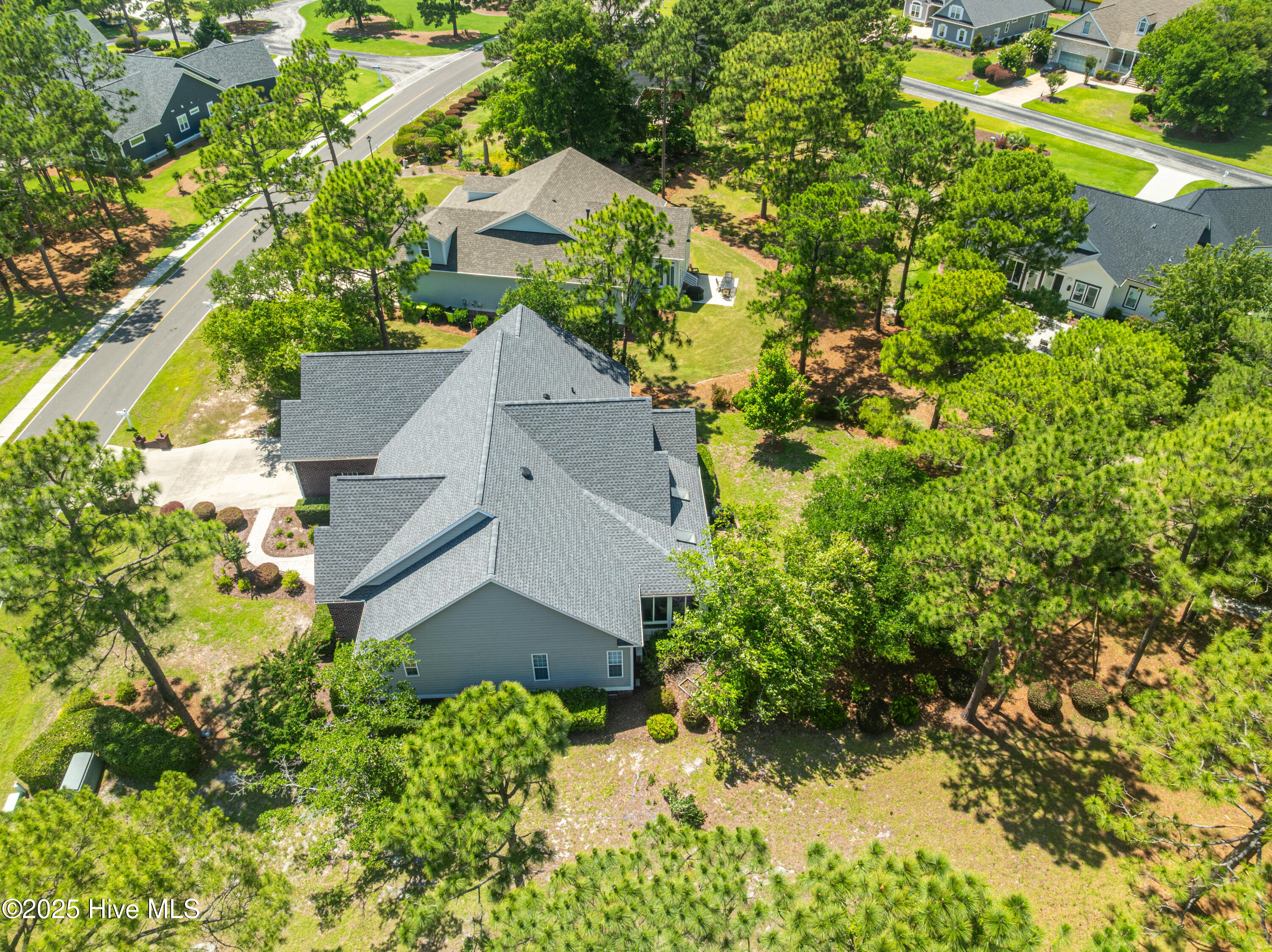 100480816 | Photo 62