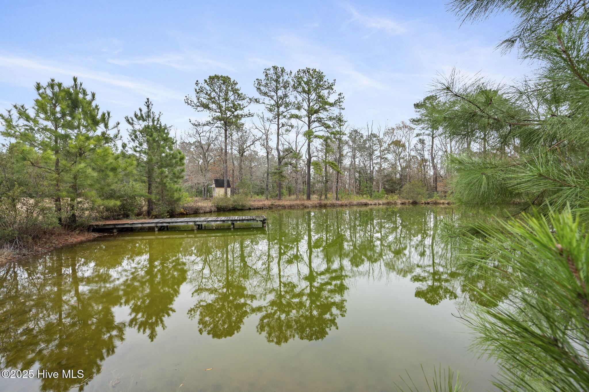 100546888 | Photo 30