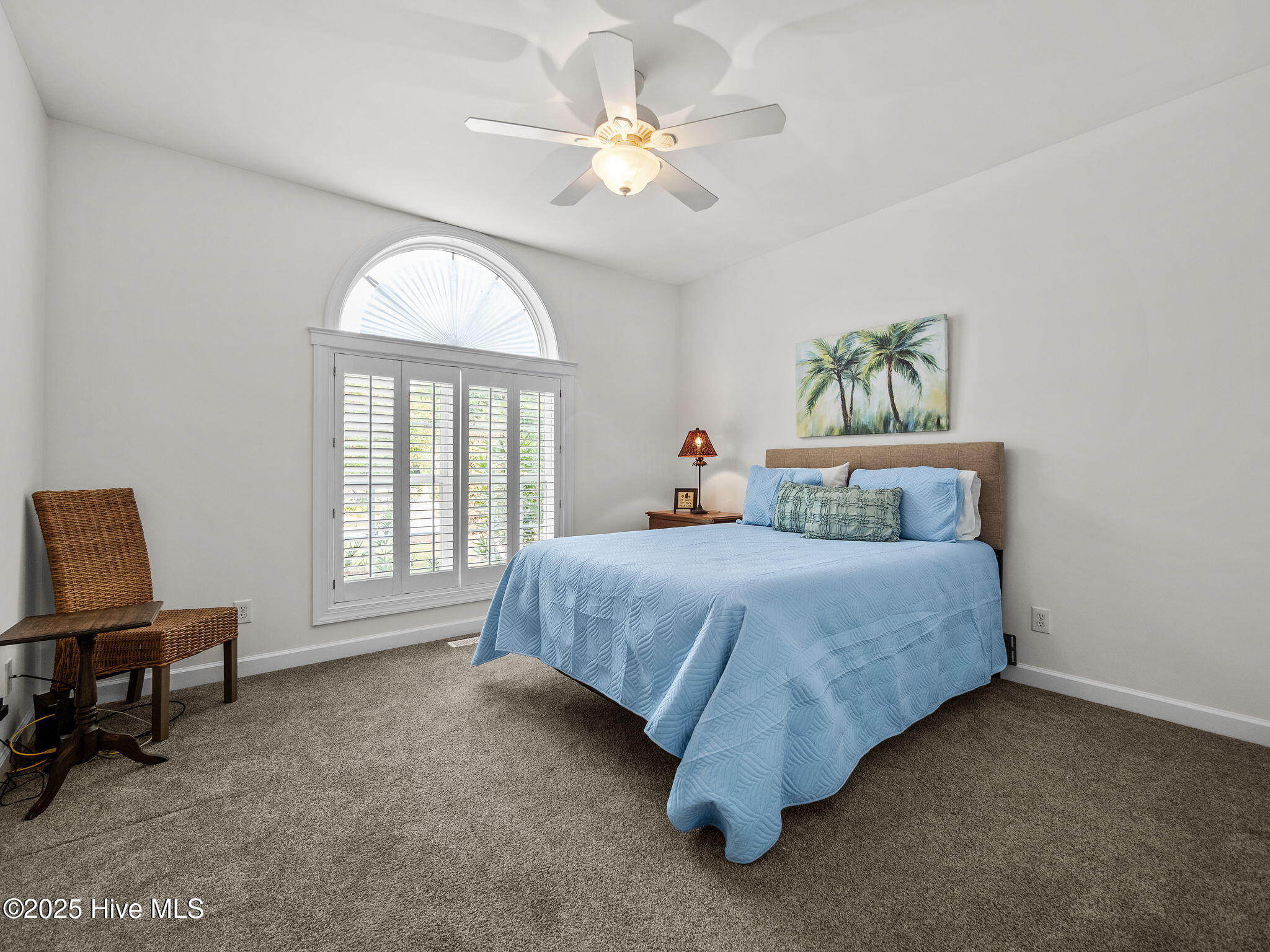 100519195 | Photo 30