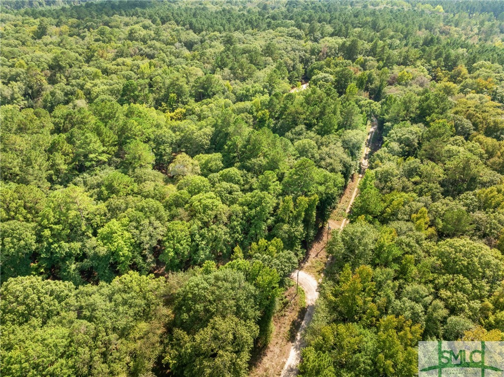 33rd image of 628 Riverside Dr, Claxton, GA 30417 | MLS# SA326951
