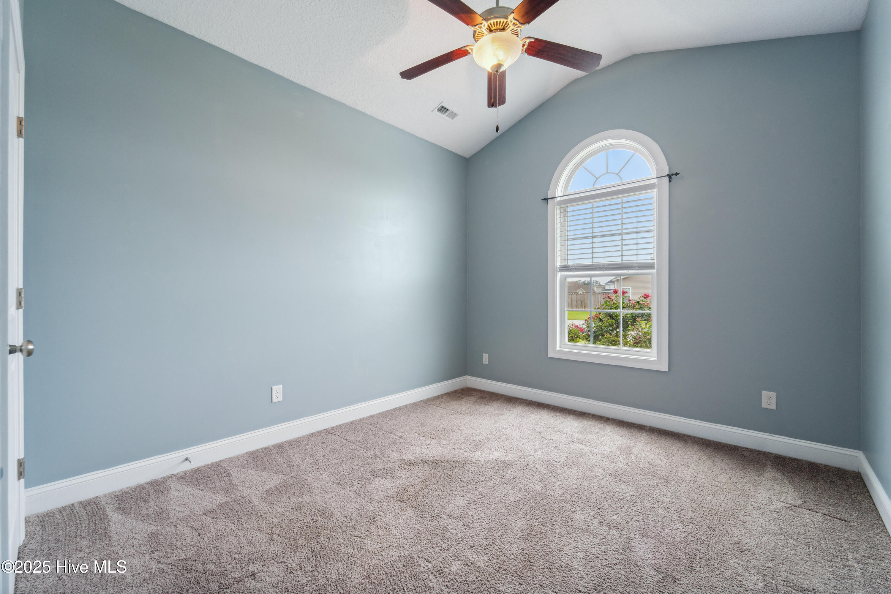 100562423 | Photo 15