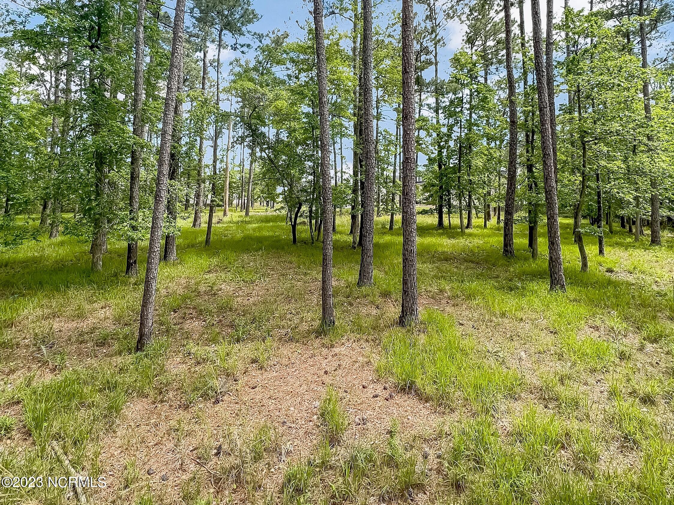 71 Mill Creek Lane, Oriental, NC, 28571