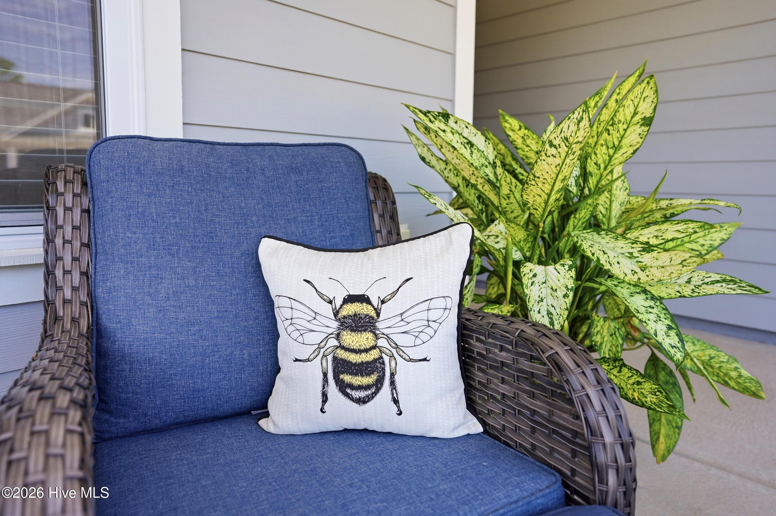 100569050 | Photo 13