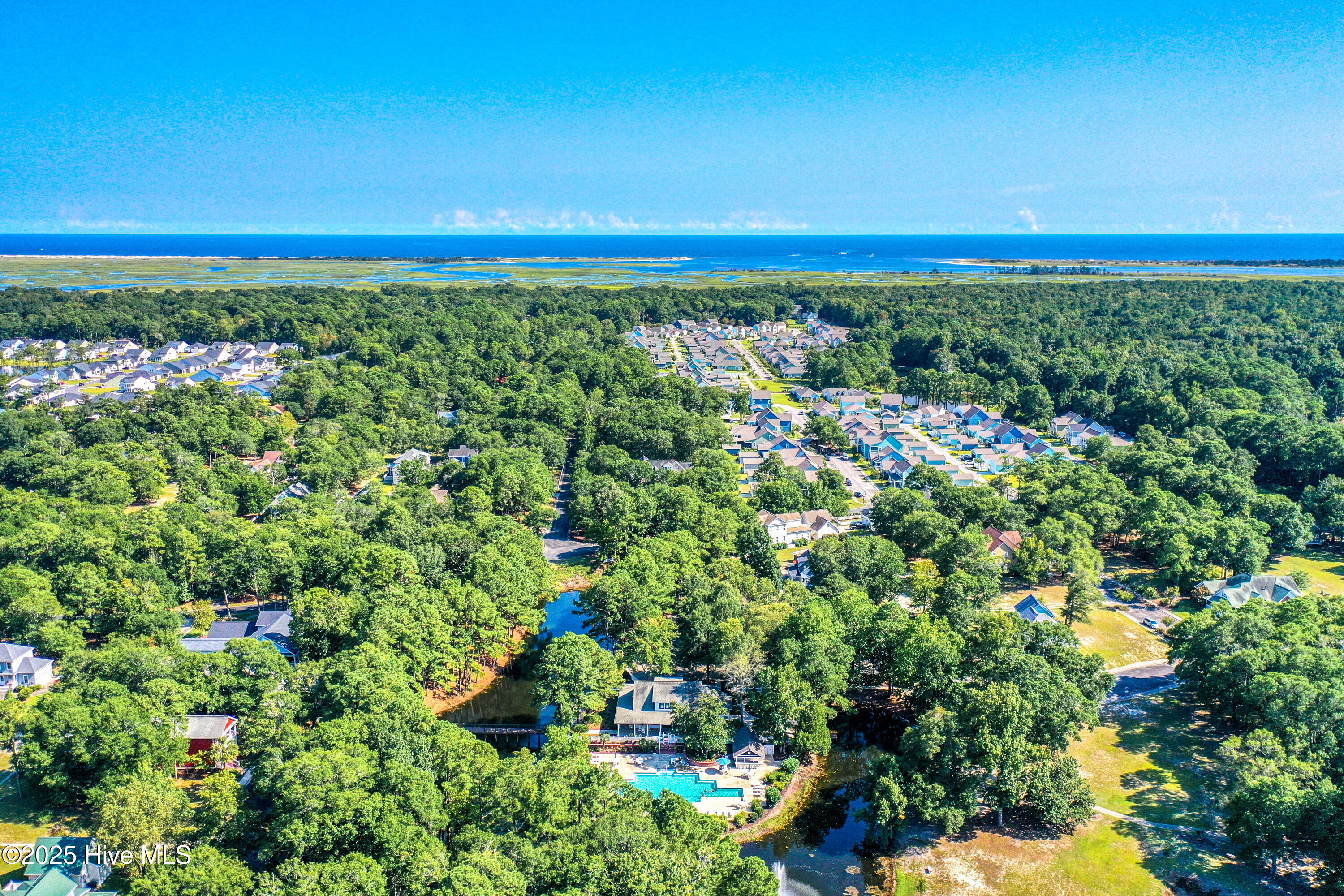 100531409 | Photo 31