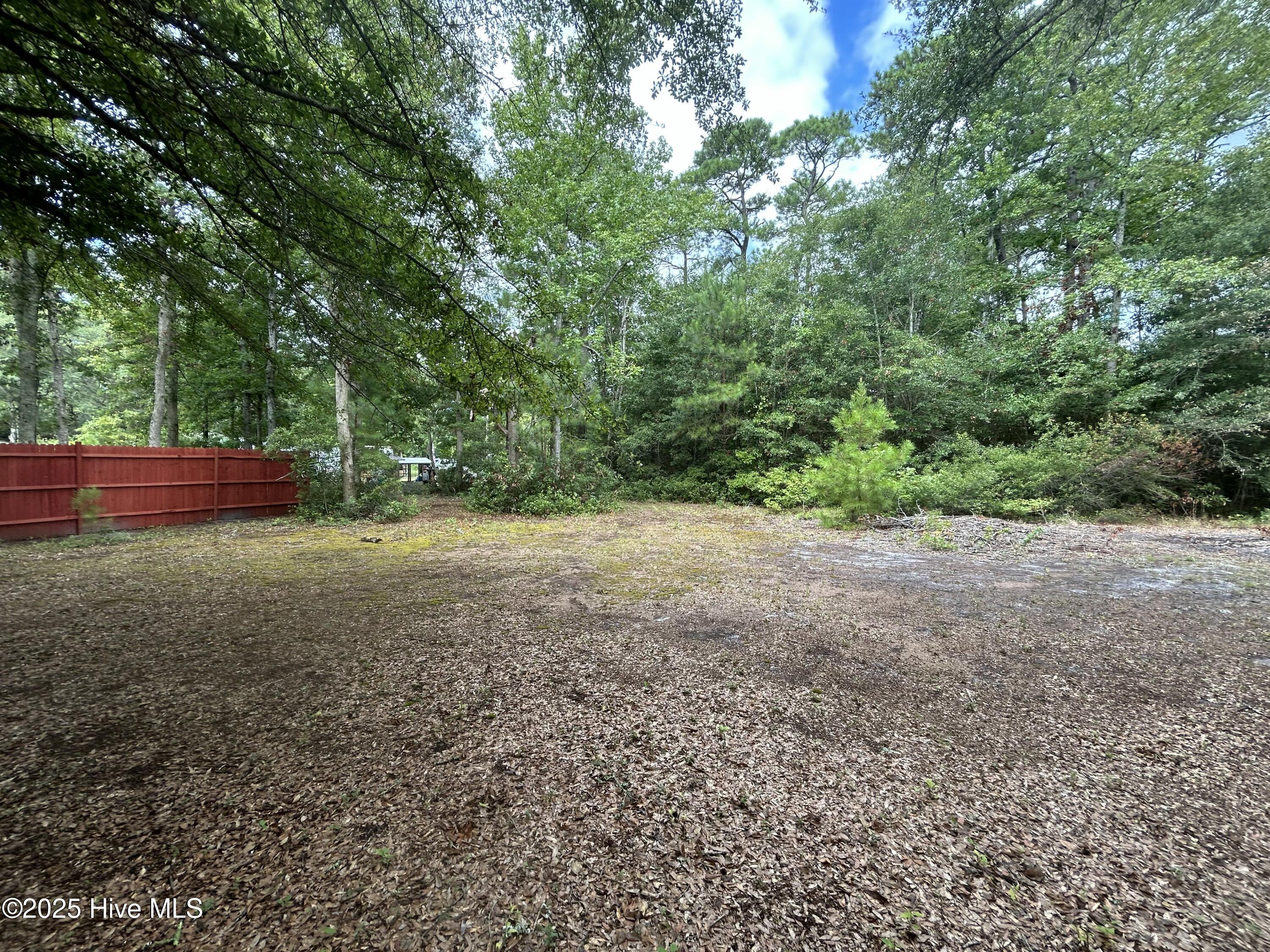 100523167 | Photo 28