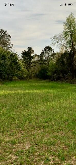 2405 HWY 88, Hephzibah, GA, 30815