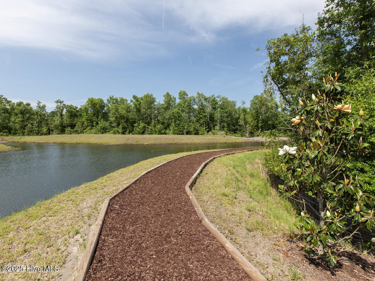 100486476 | Photo 42