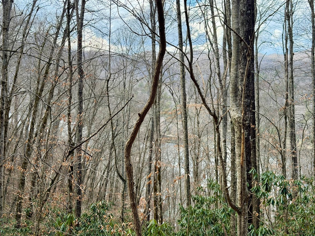 Homes for sale in Nantahala, NC | Lot# 38 Nantahala Shores Rd, Nantahala, NC 28781 | MLS# 98500049